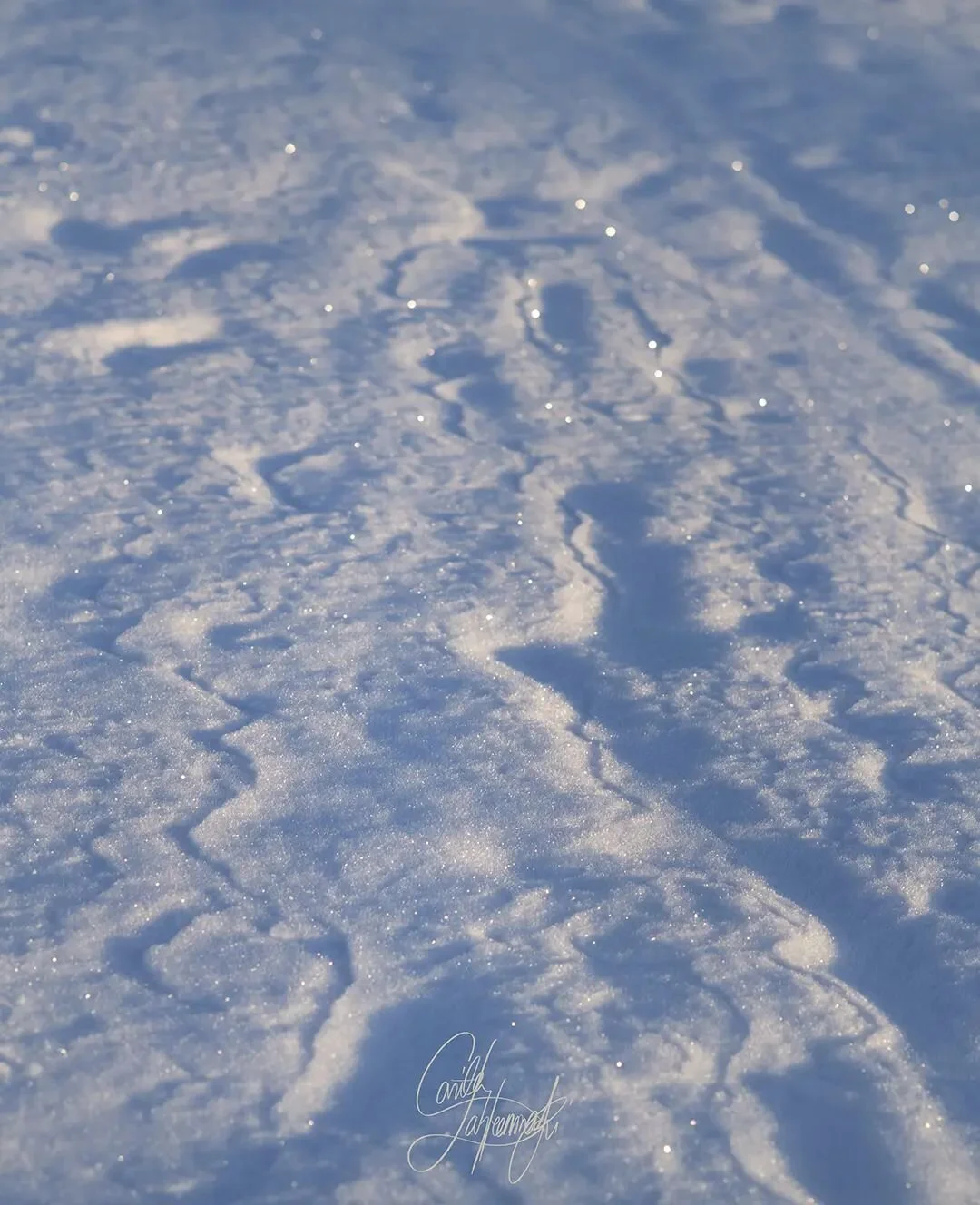 Dreamy snowpatterns.
.
.
.
.
#snowpattern #snowydays #wintery #pattern #lovingwinter #lumikuviot #lunta #talventaikaa #naturesdetails #natureoffinland #snowdetails #natureisallaround #magicalwinter #wintermagic #luonnonyksityiskohdat #nikonshooters #