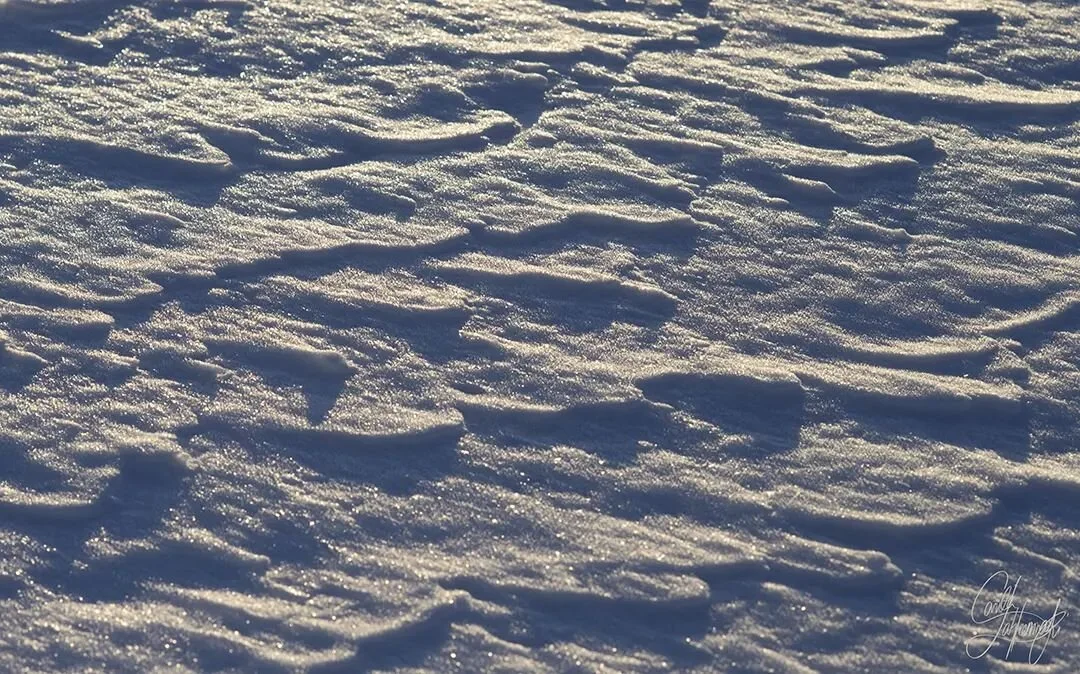 Sunday snowpatterns.
.
.
.
.
#shadows #sunandshadows #wintersunlight #kuviot #lumenj&auml;ljet #snowpatterns #patterninspiration #naturepattern #wintertime #winterground #snowphotography #photographingsnow #lunta #valojavarjot #shadowpattern #naturep