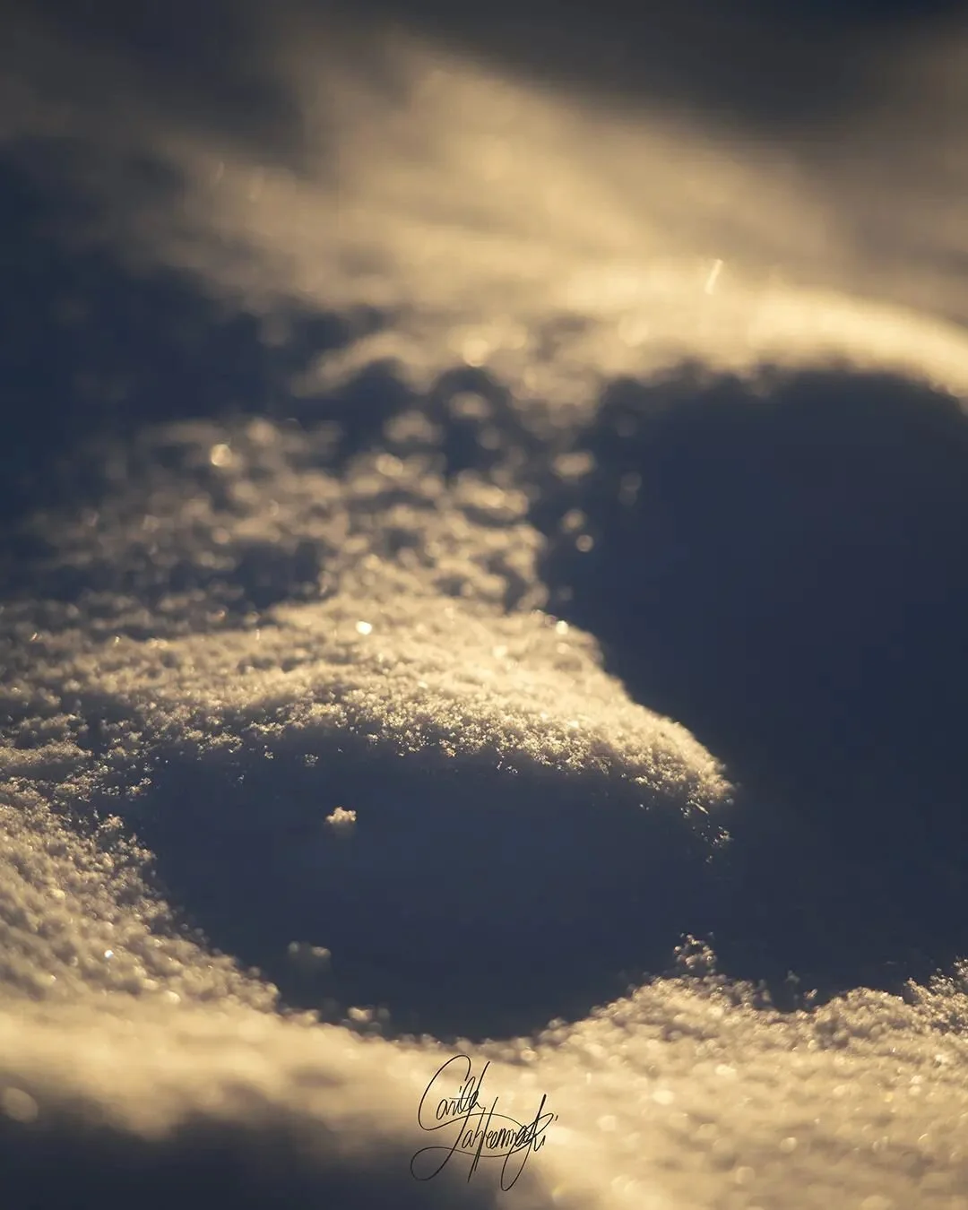Softness of snow and sunlight.
.
.
.
.
#snowandsunlight #macrophotography #macro_perfection #macroshooting #macro_vision #inthemoodfor_macro #fiftyshades_of_macro #nikonphotos #wintery #talvi #l&auml;hikuvaus #makrokuvaus #lightandshadows #valojavarj