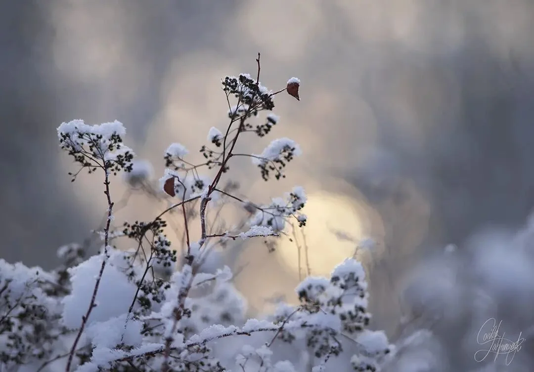 It is snowing and raining at the same time outside. (In Finnish it's called r&auml;nt&auml;, but I don't know the English word for it, is it slush or is that only when it's on the ground?). Anyway the forecast predicts there's more to come...so let's