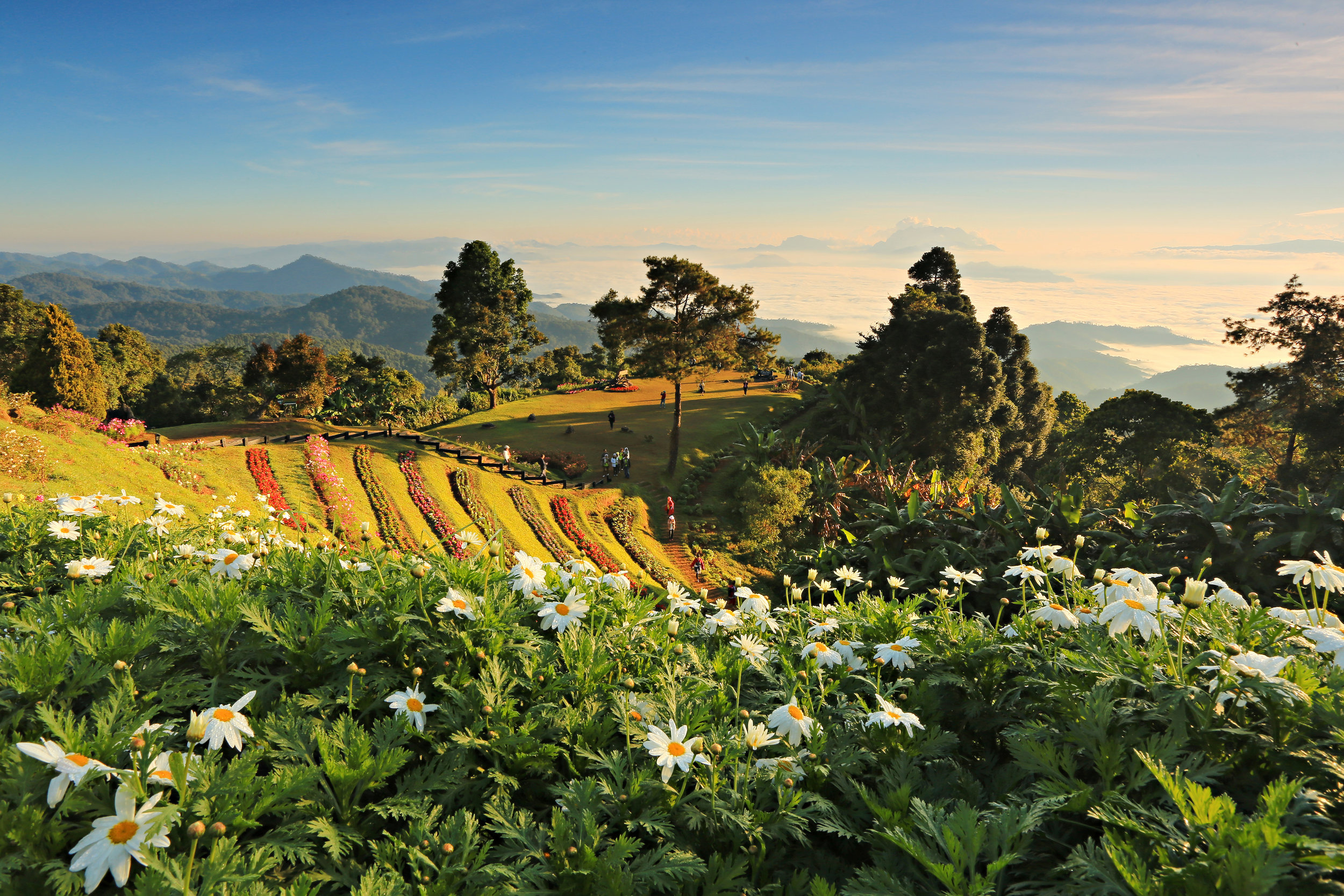 Huay_Nam_Dung_National_Park_Chiang_Mai_Thailand.jpg