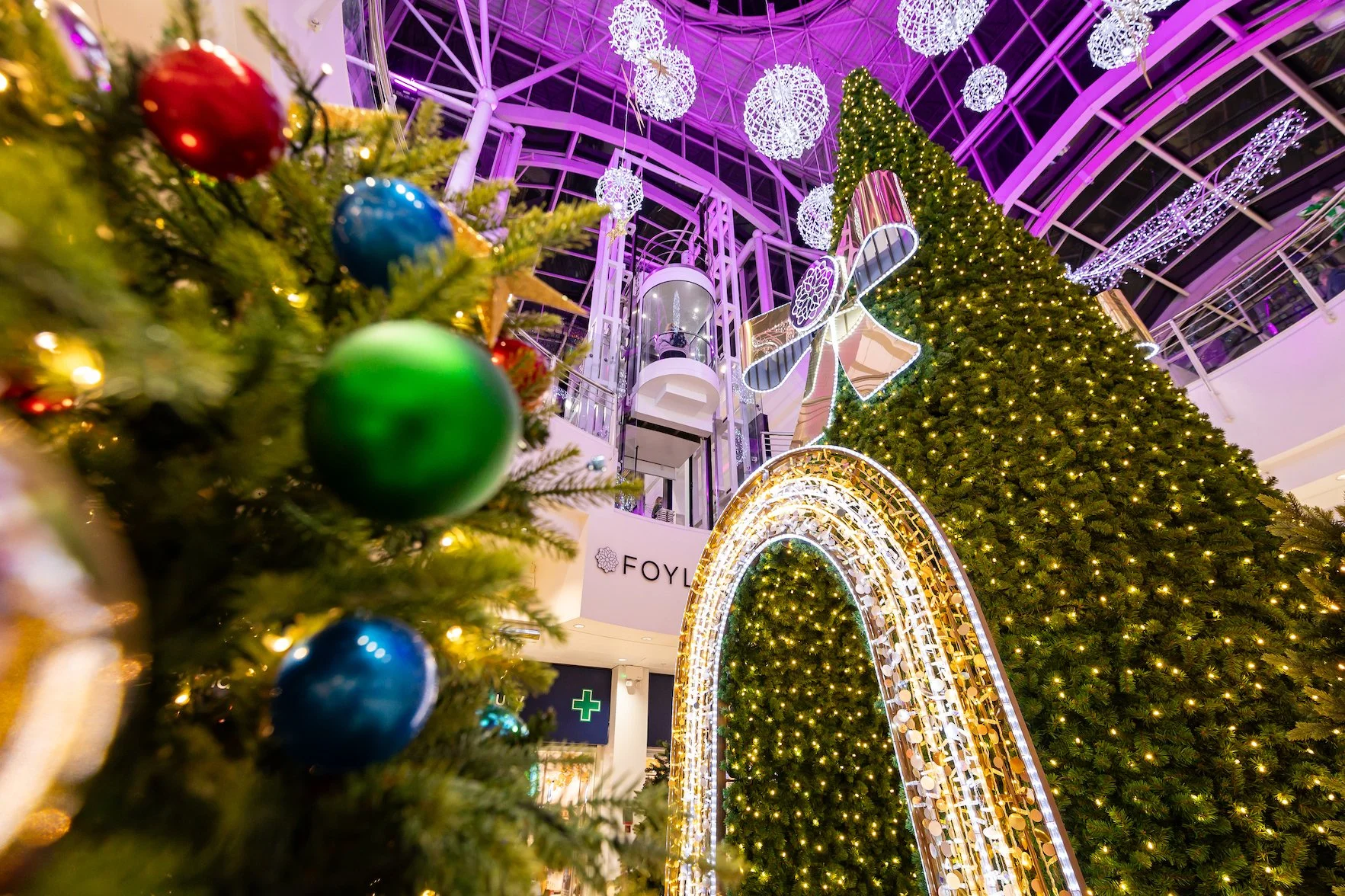 IDOLIGHT 13-12-24- FULL RES-15.jpg