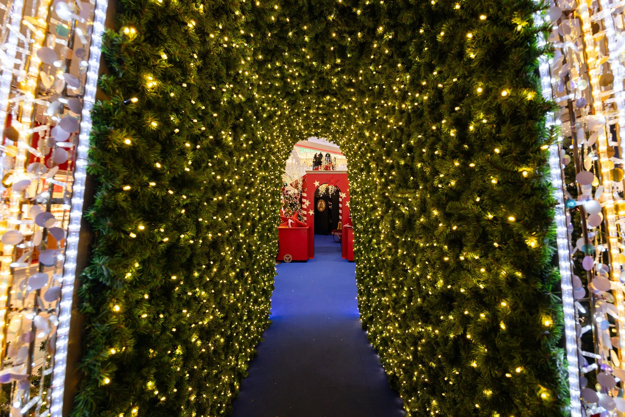 IDOLIGHT 13-12-24- FULL RES-29.jpg