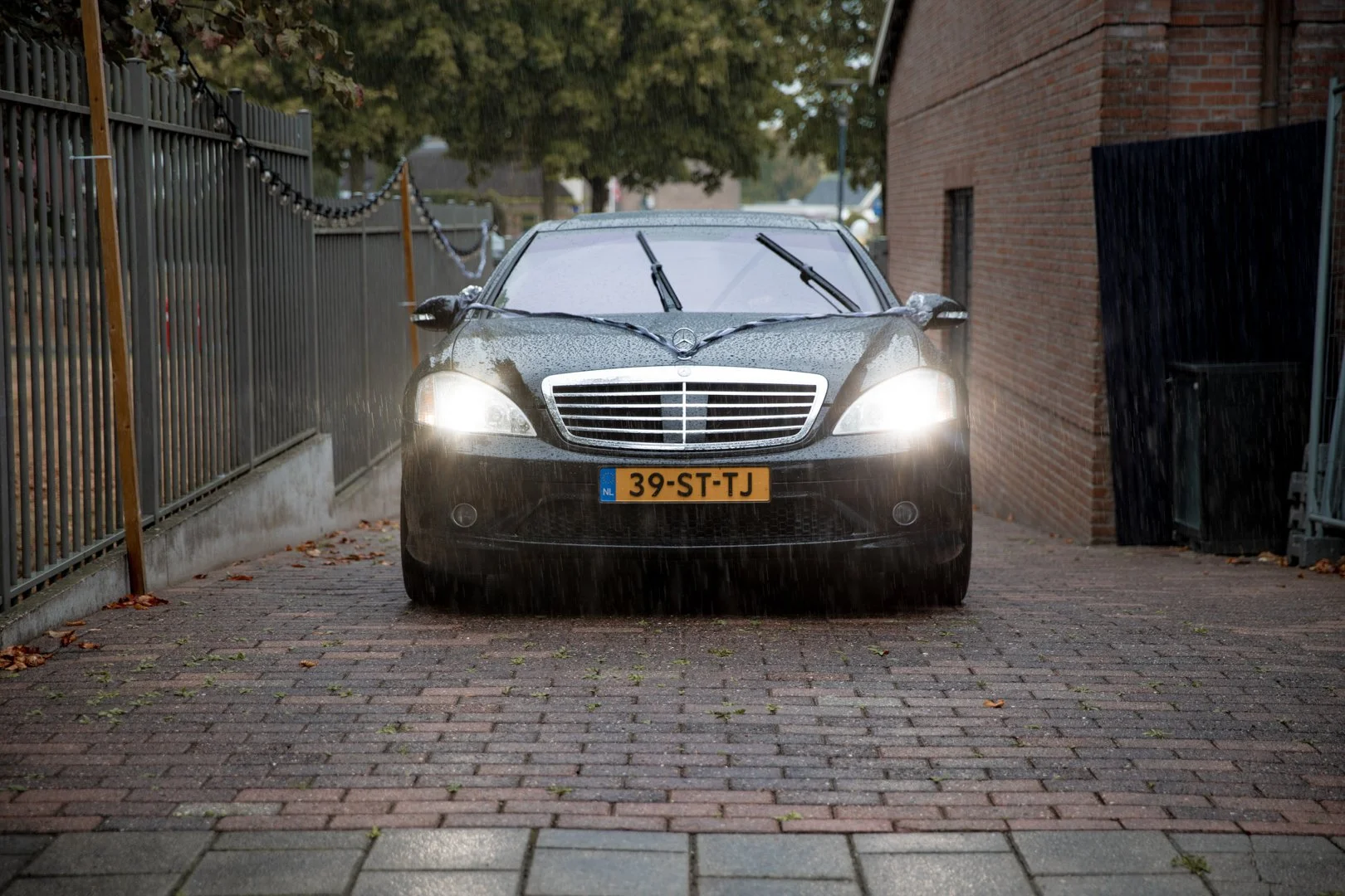 20220909 Angelique 231.JPG