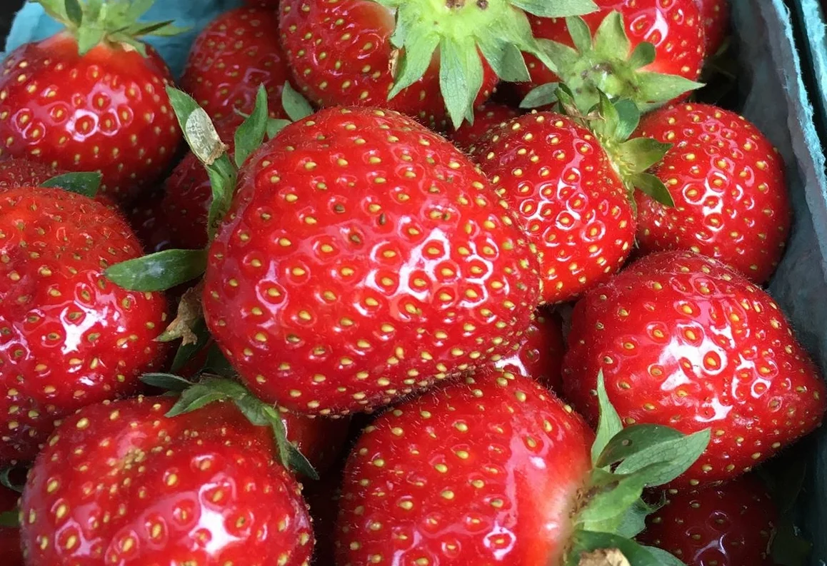 Strawberries1.jpg