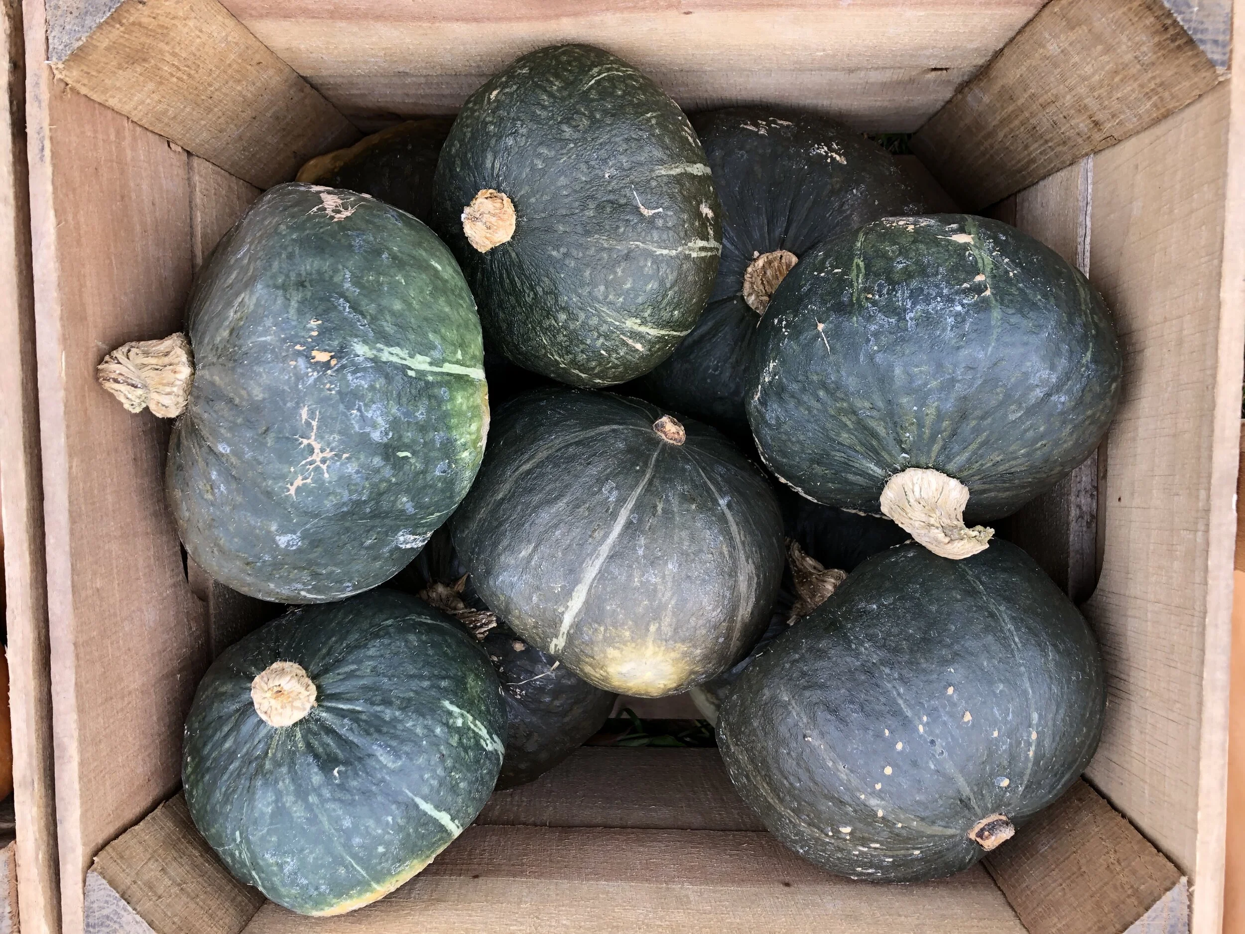 1351A34A-C71D-47F8-A685-0DD6C8B25B49