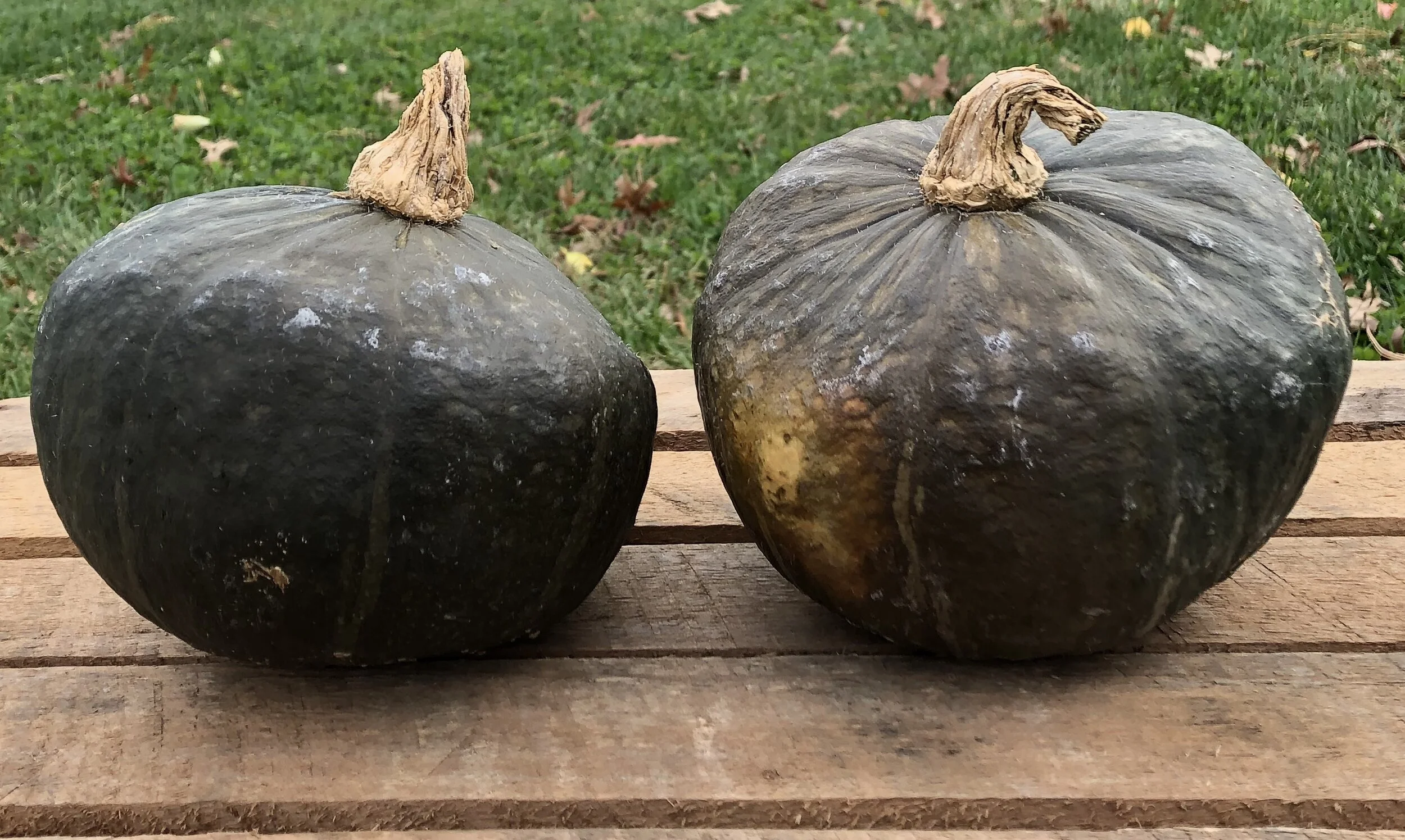 8457EFD6-1565-48E8-BB66-FC4059882F92