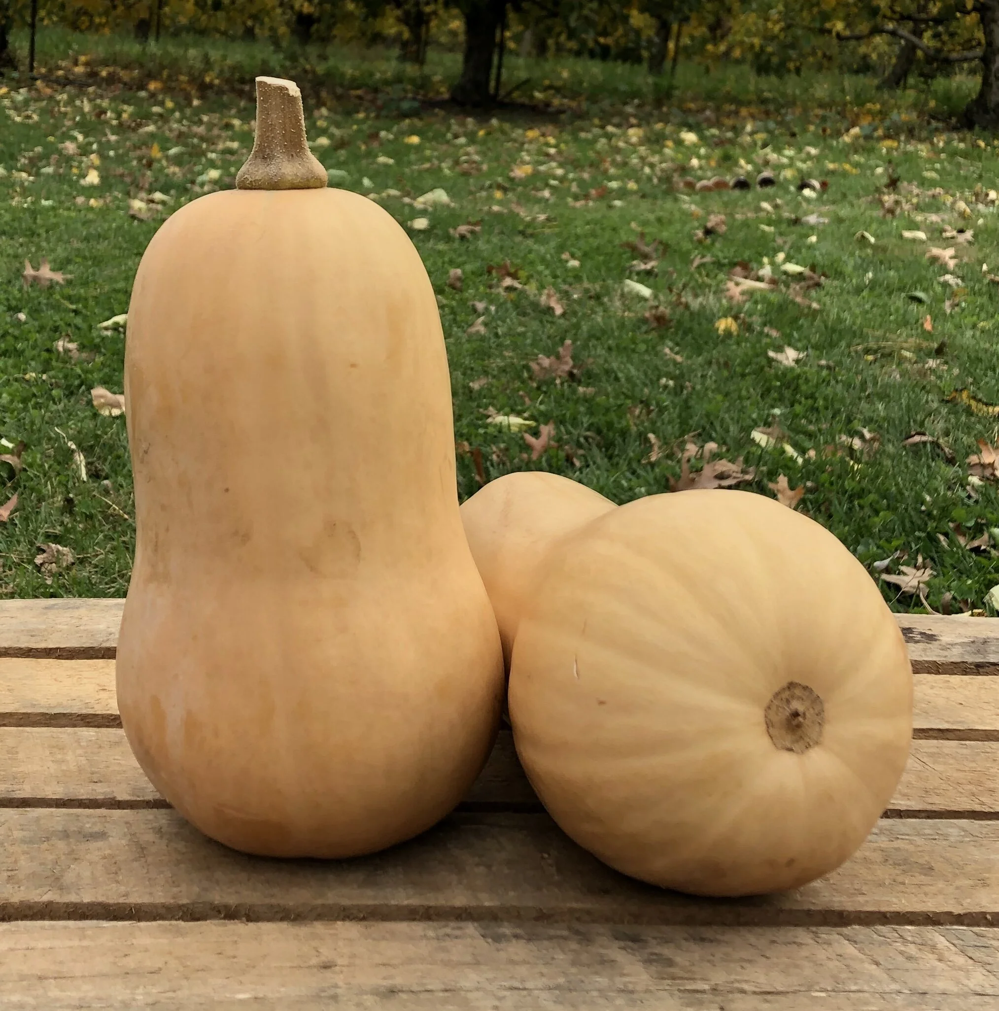 4CB75652-450A-4B3E-ABA8-D26D3354C3E8