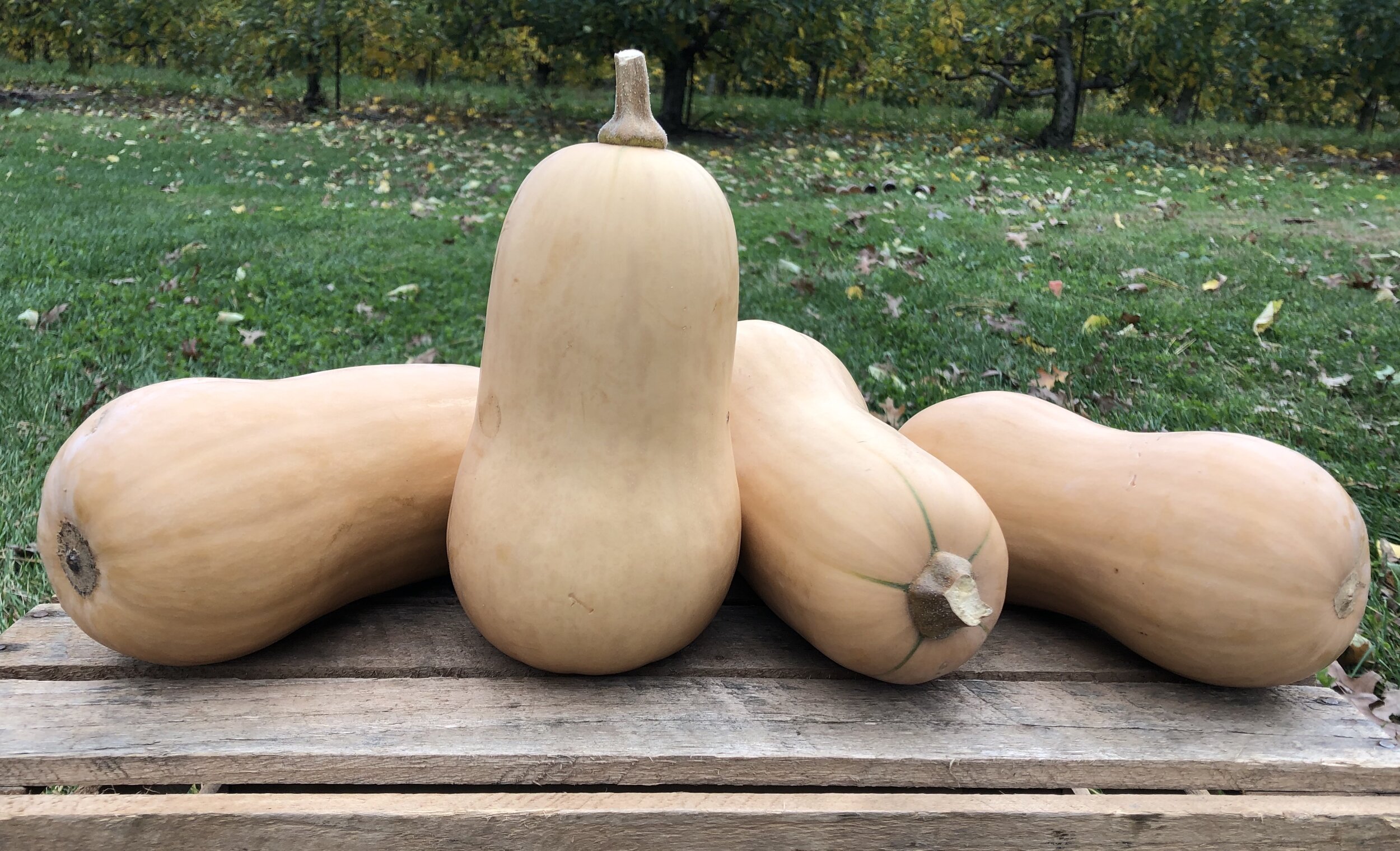 752EE233-25FF-4D27-9438-866DCCEADA8F