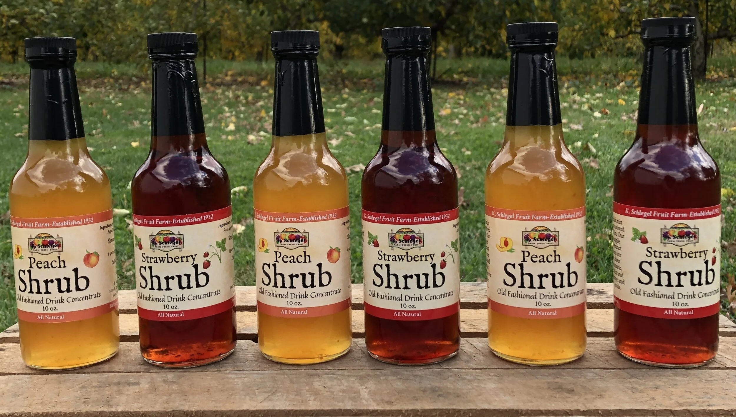 E48AE475-85B0-4A72-806B-F740AAFA2AED