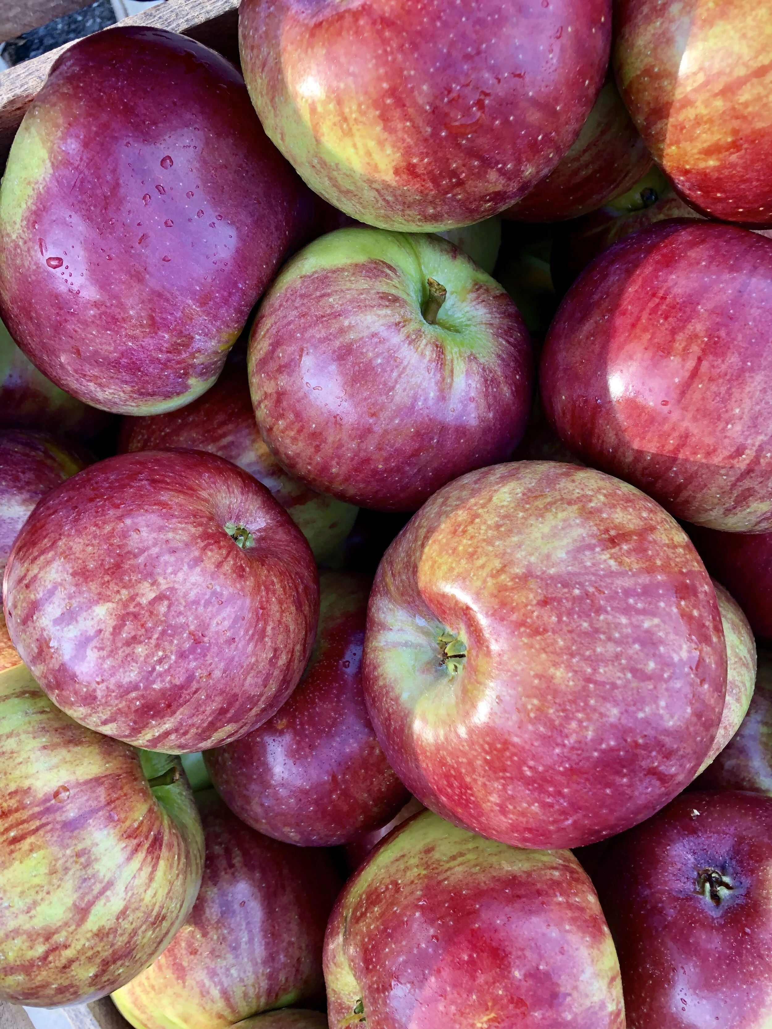 B14D0084-DAC4-4169-9E21-45530FAB210D