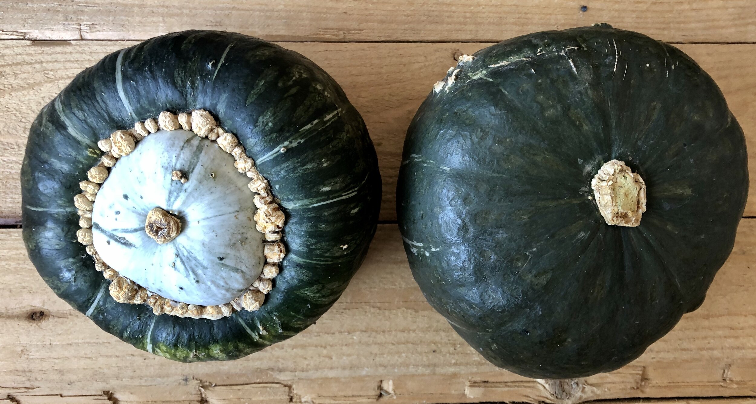 5702DF48-EB6B-4B68-B609-65A6D8F8178D