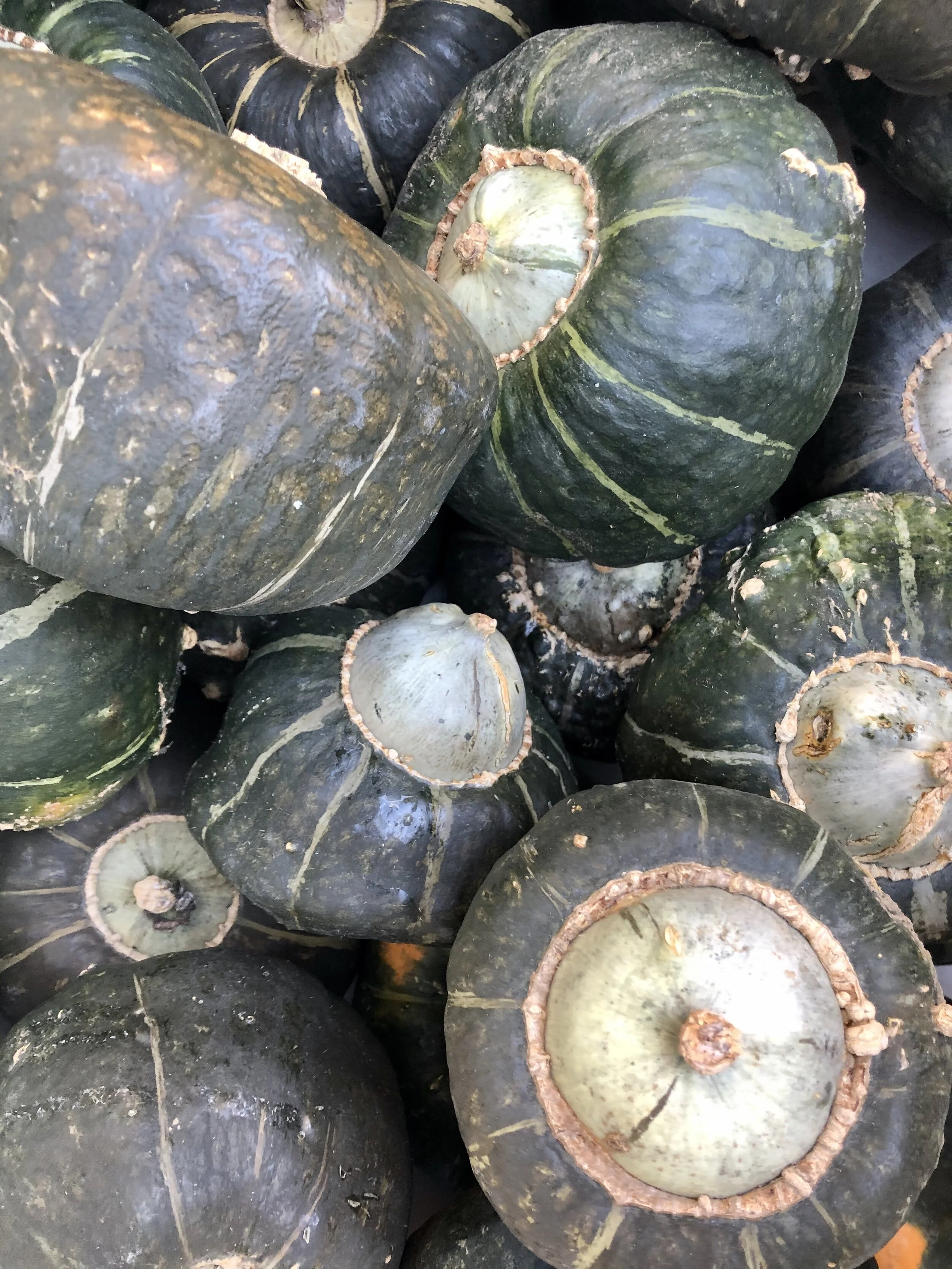 6AE97A08-7568-4B1B-8D97-784B6D9A25C6