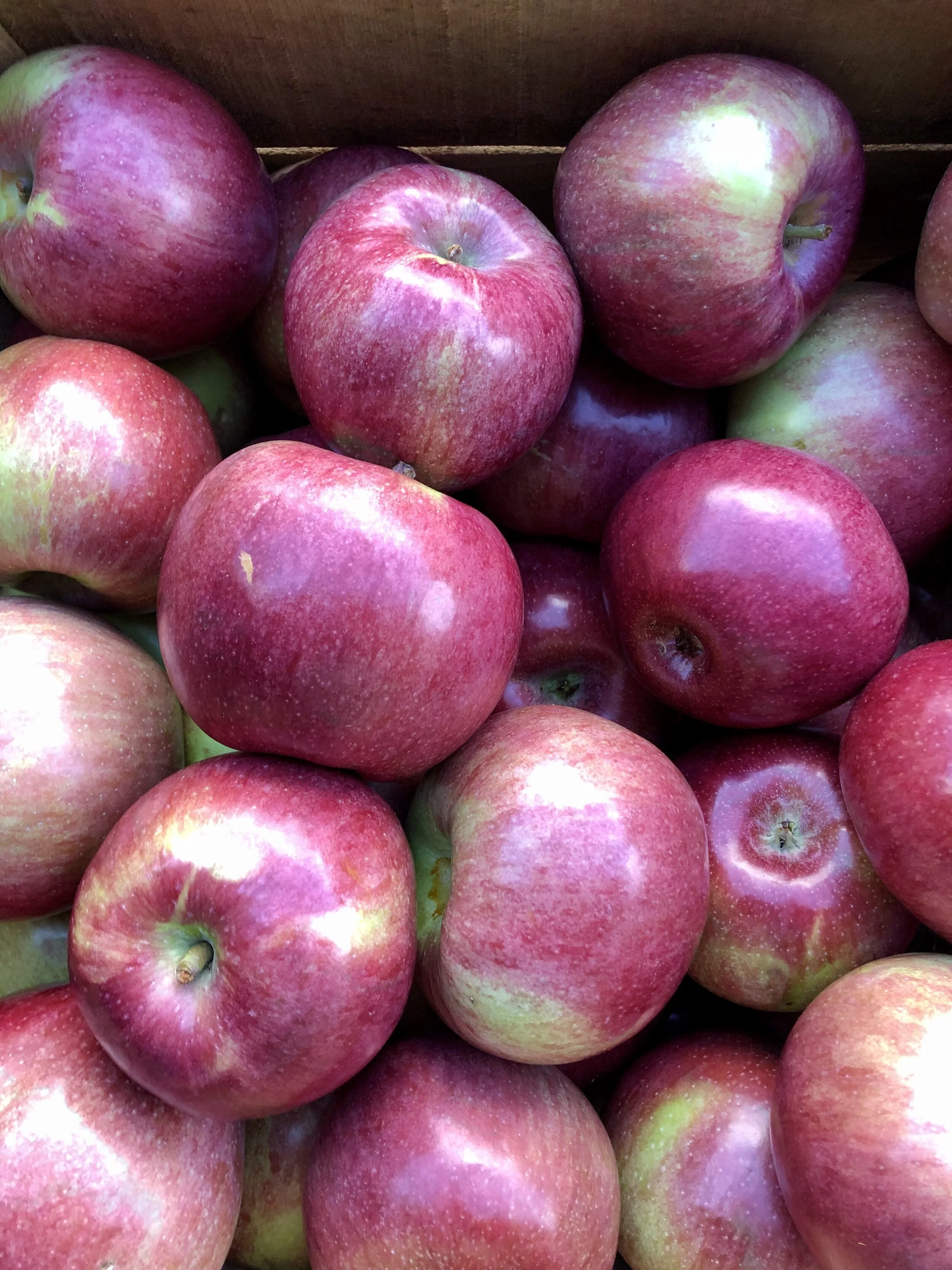 E15ECEC9-5D6C-4CF5-9F62-0C03137B768D