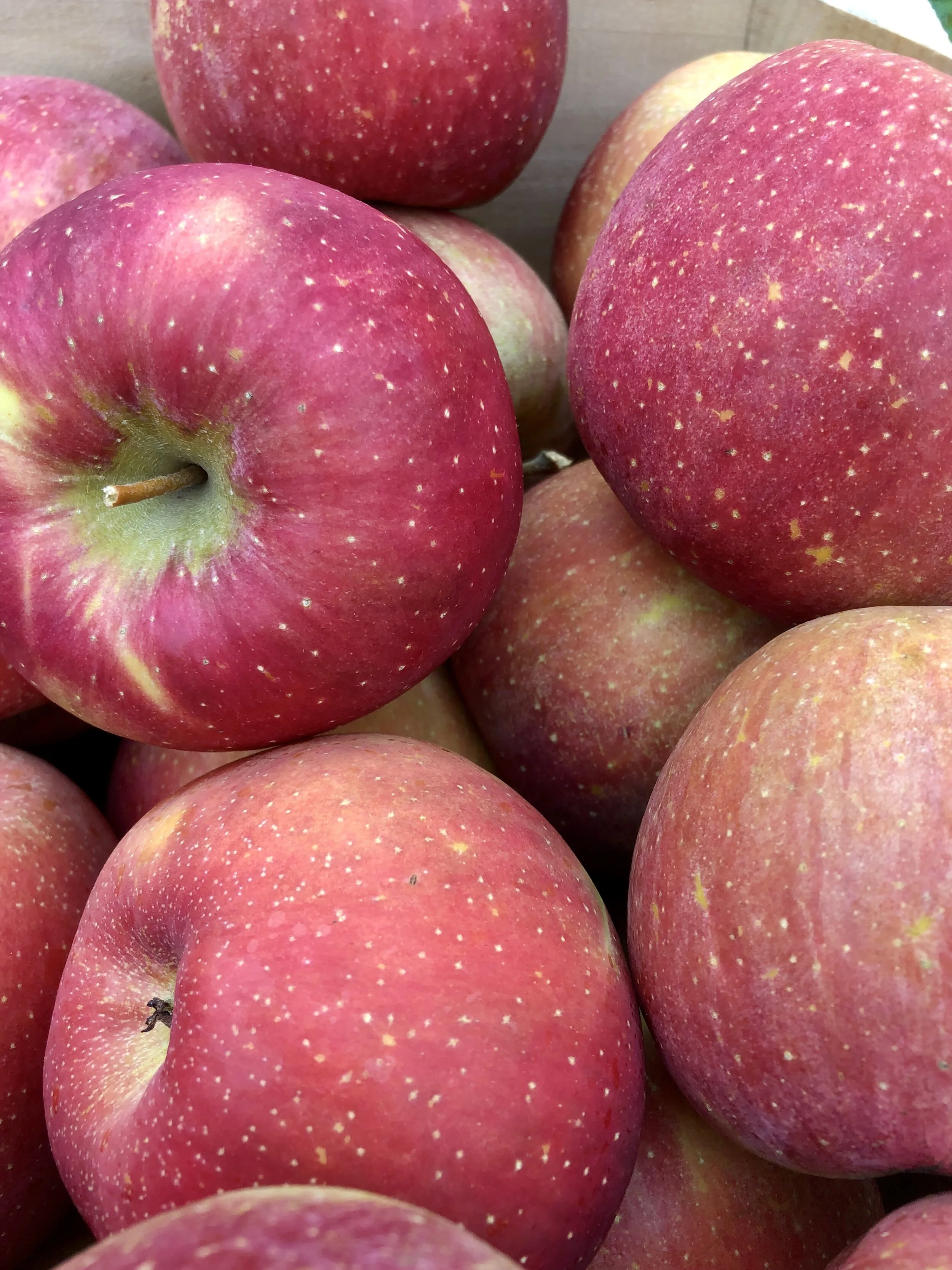 81FA315C-463F-47CB-9787-A520A29B1A92