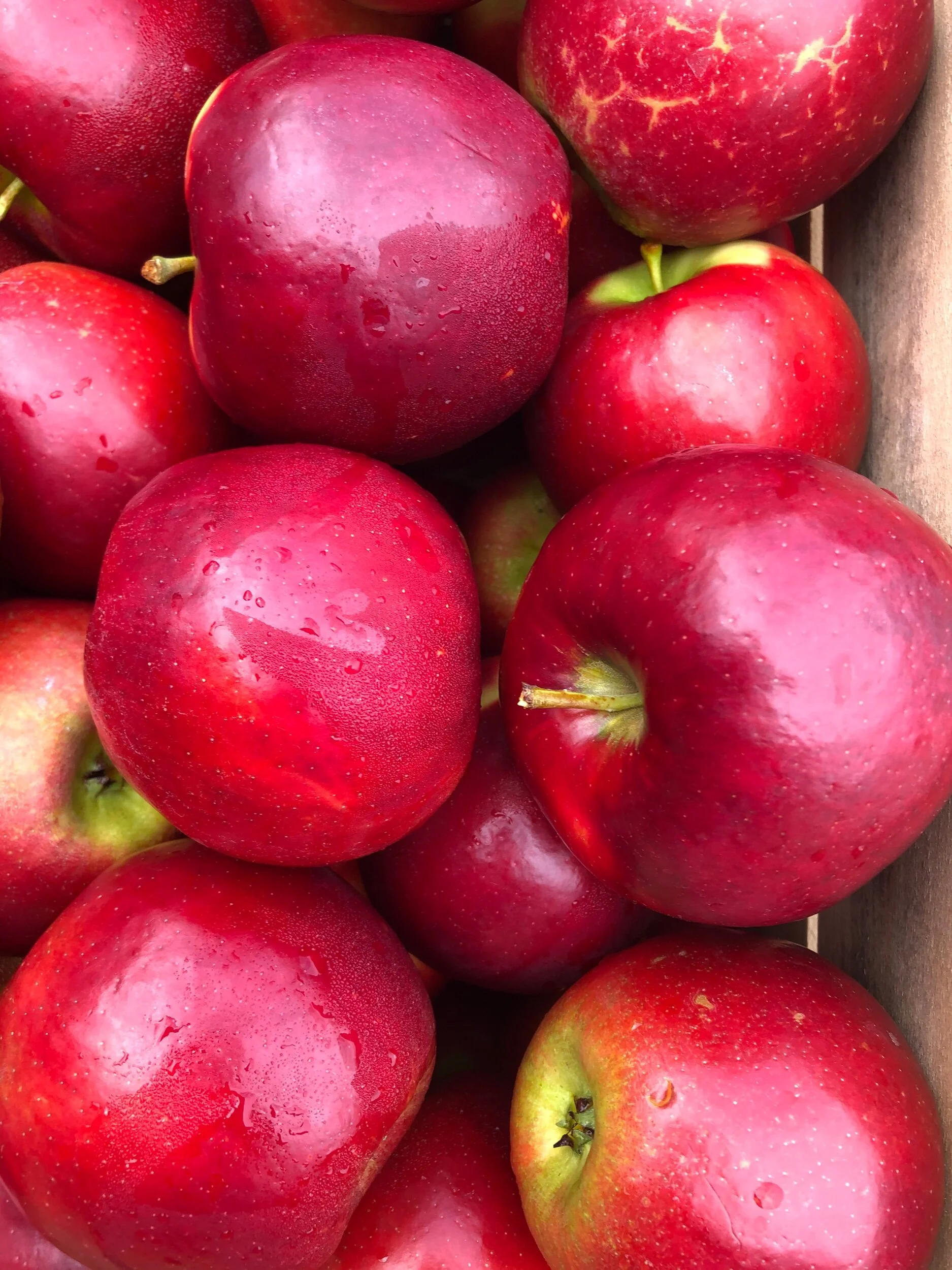 E7ABE81E-F88A-42B6-9C2A-D9F15817A09D