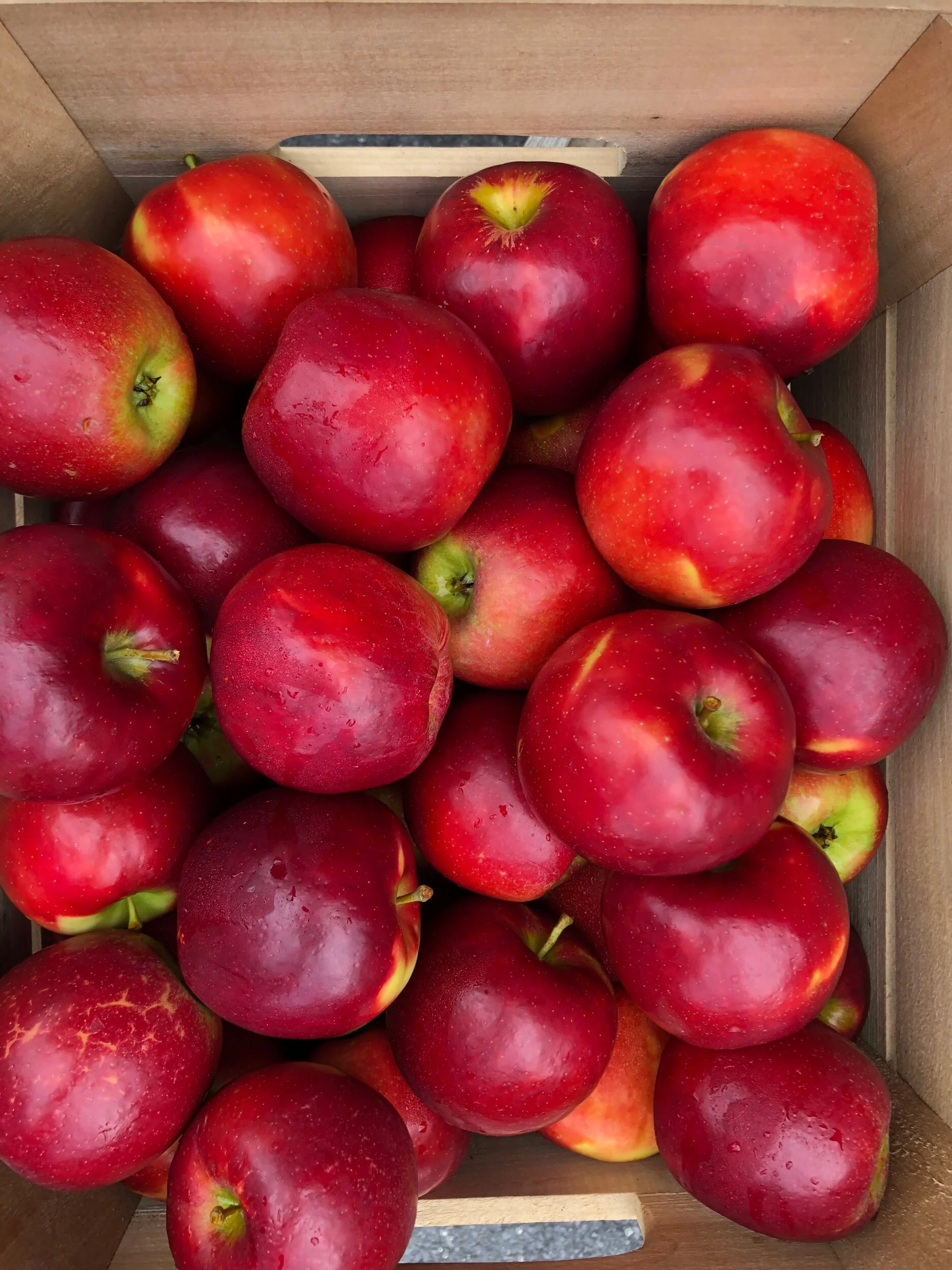 E3B94C3A-F198-419E-983A-609907E50CD7