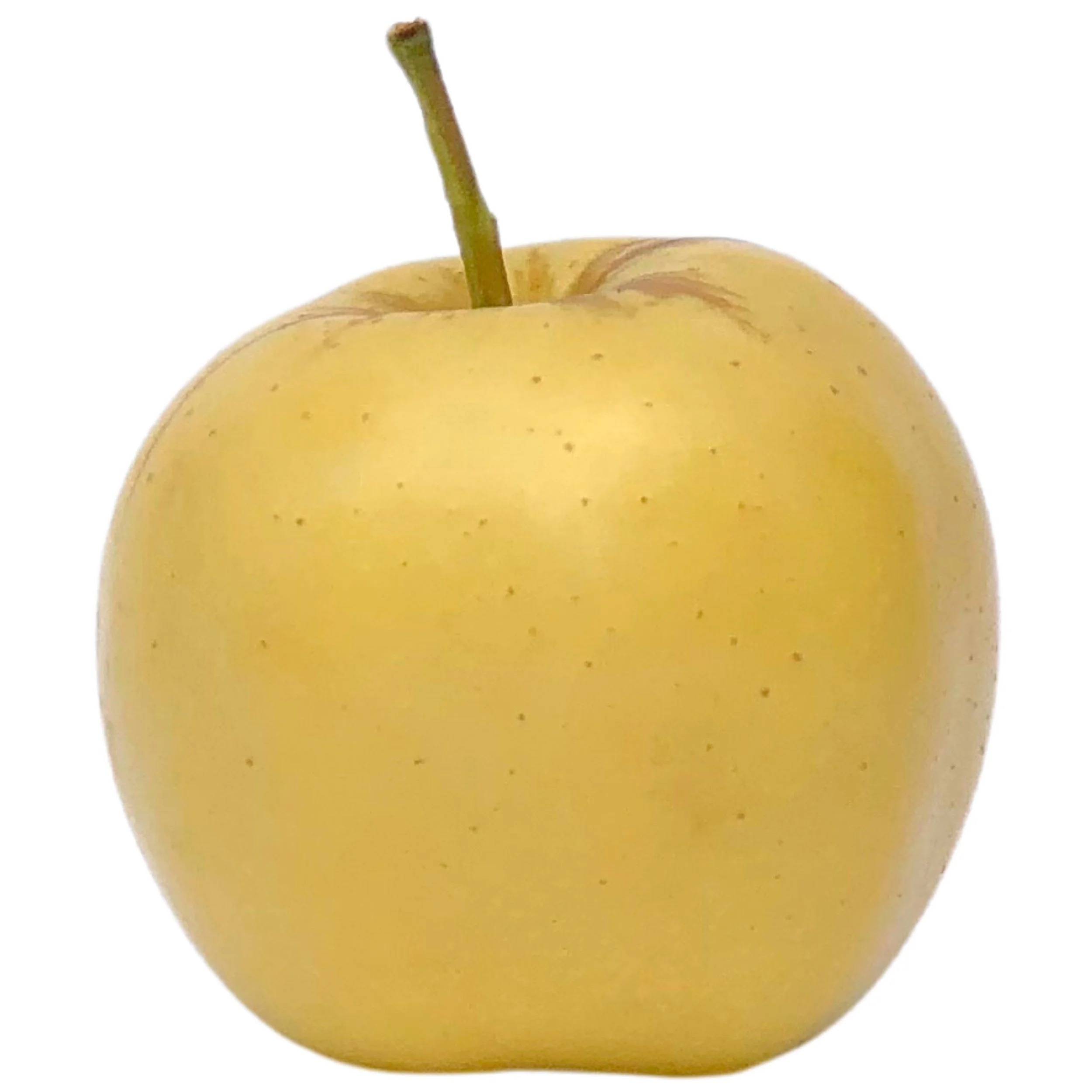 Blondee.jpg