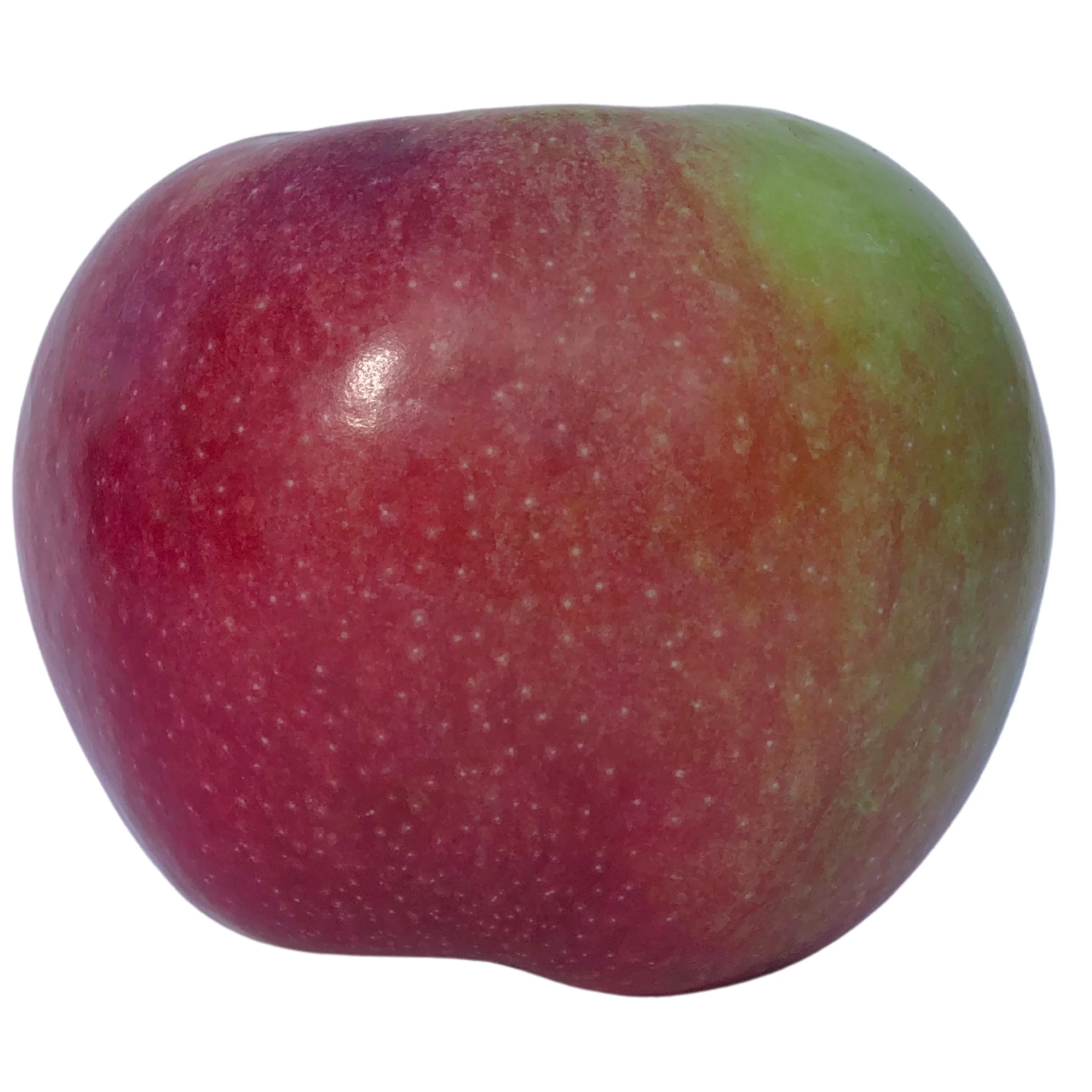 Macoun.jpg