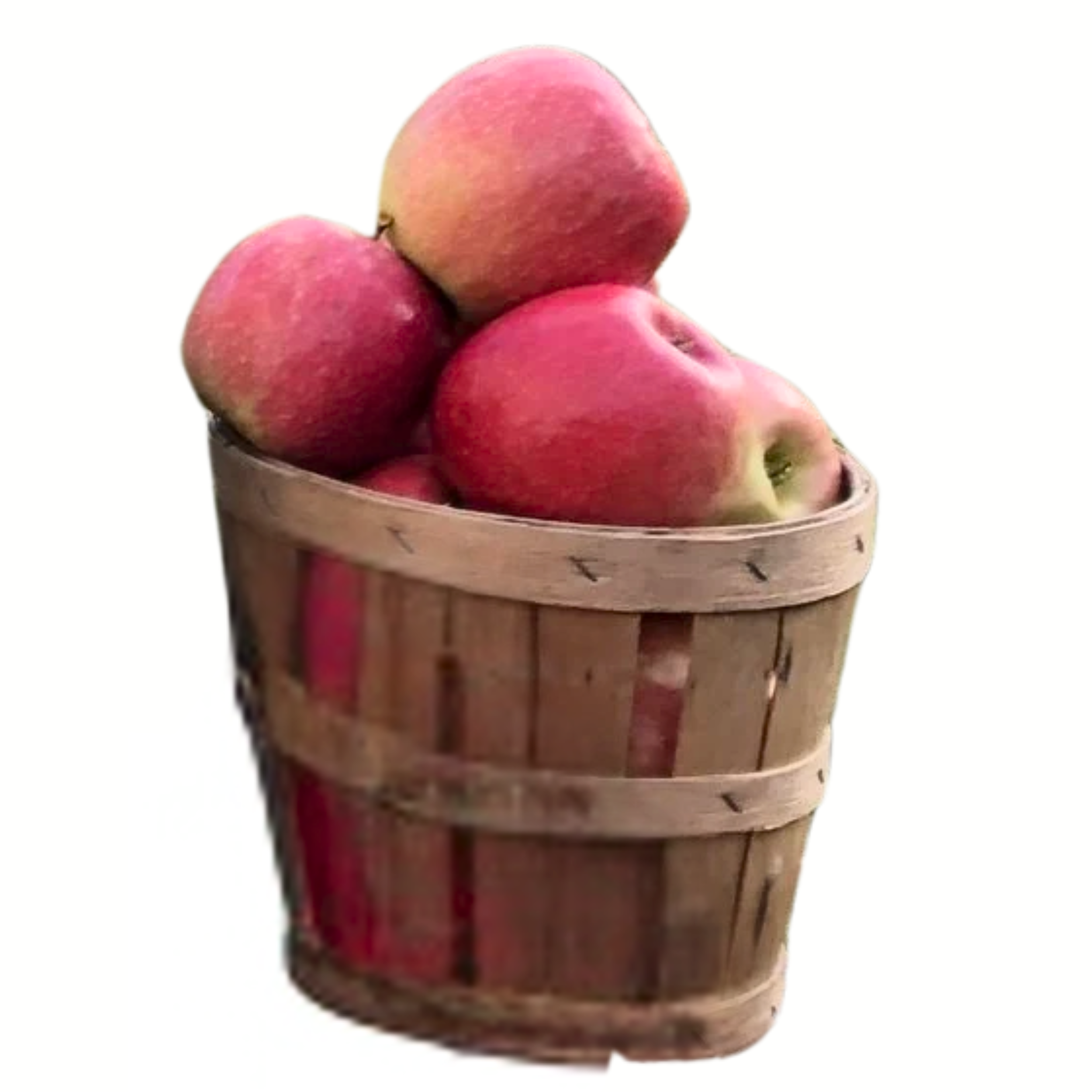 Quarter Peck of Pink Lady.png