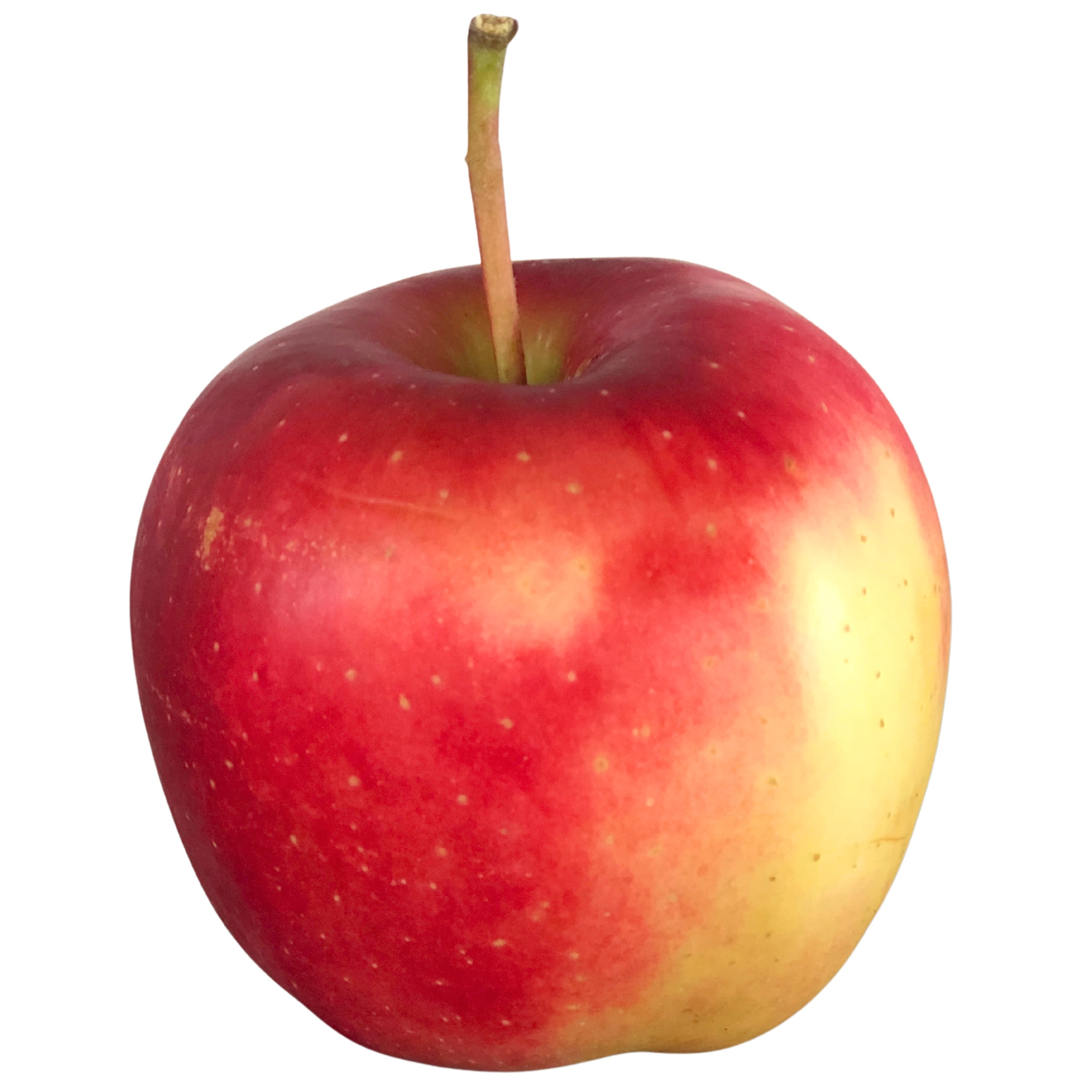 Ambrosia Apples