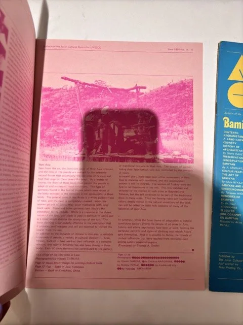 IMG_4228 Medium.jpeg