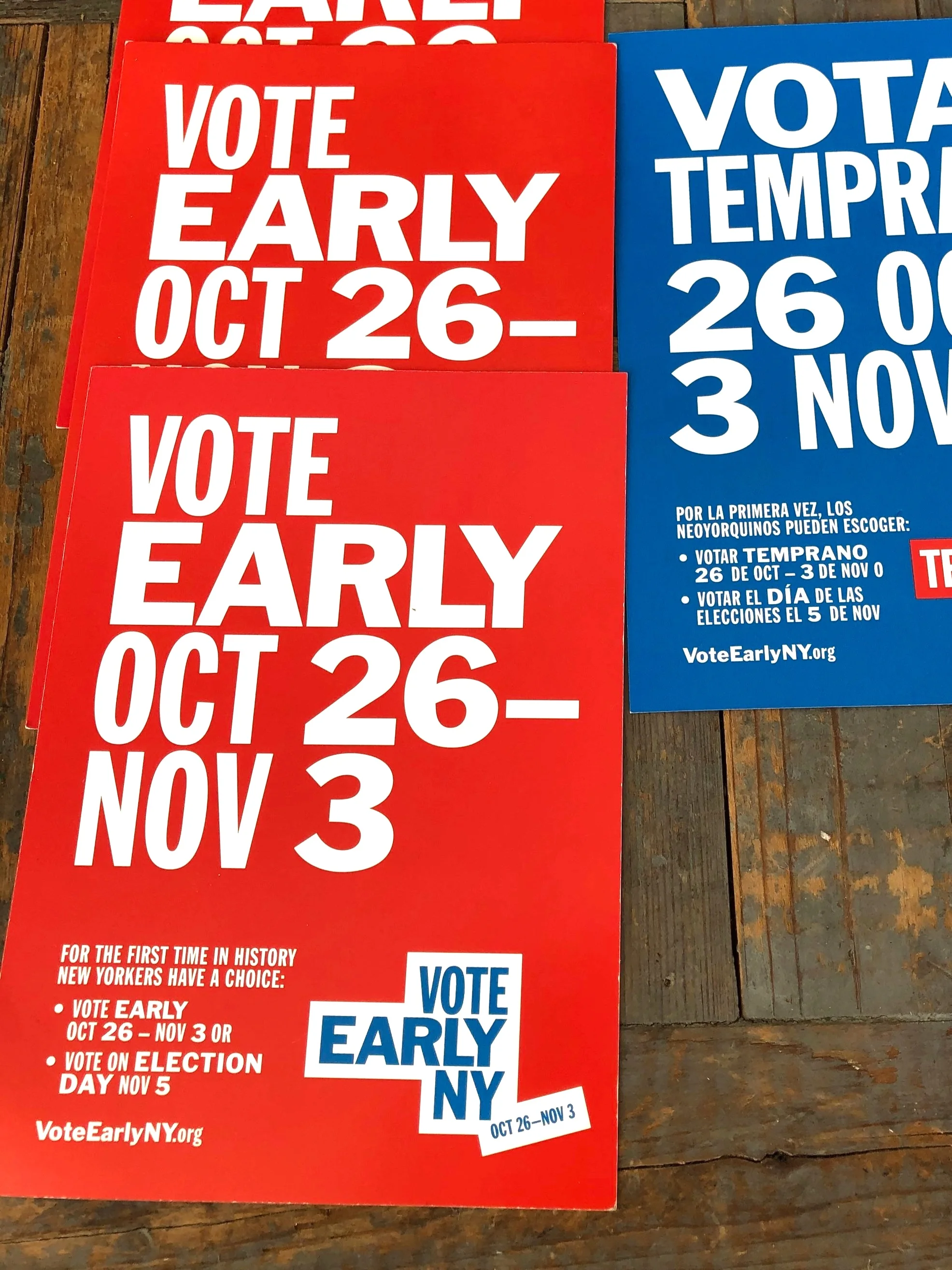 If Nothing Else, Vote on Voting This November