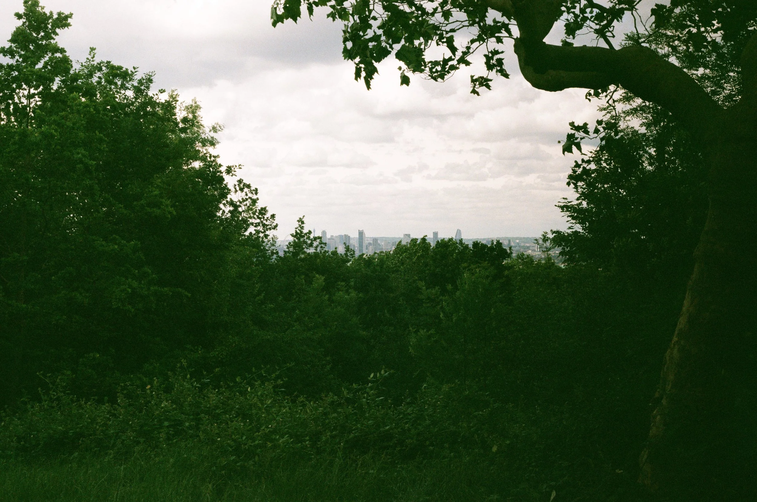 000094030004 Contrast.jpeg