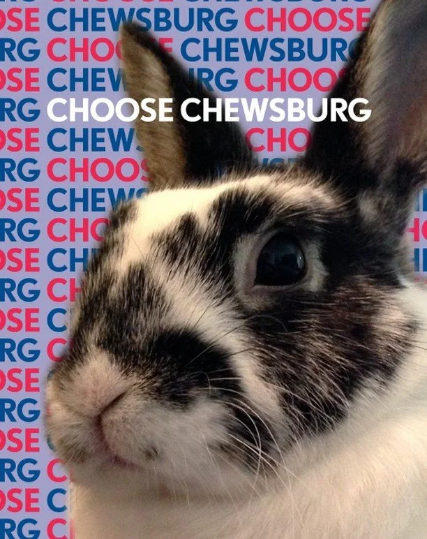 Remembering 8 years ago today when Theo van Chewsburg was campaigning for President of the United States. He fought hard for all beings.