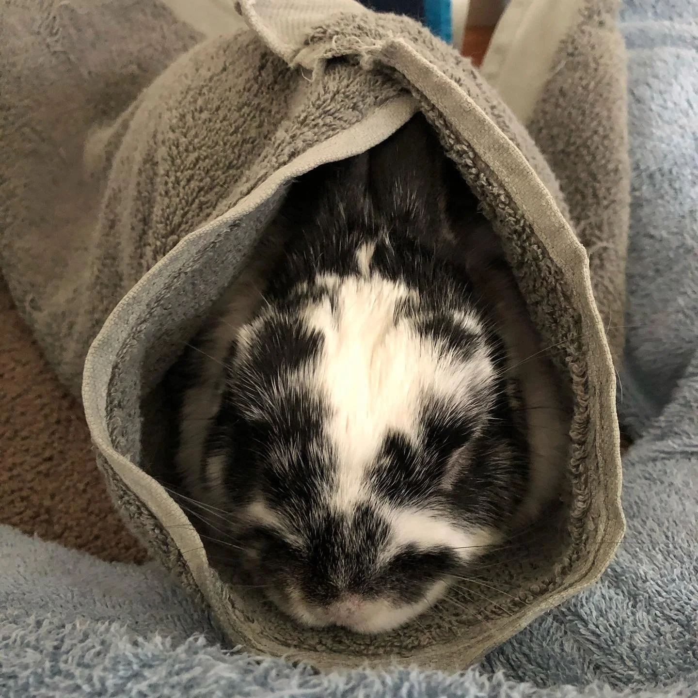 It&rsquo;s a burrito Theo! He really loves being wrapped up in a towel. So sweet.