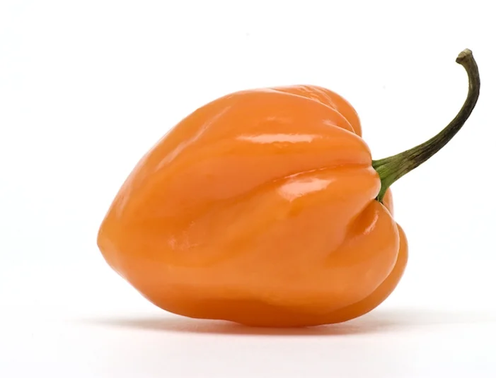 habanero.jpg