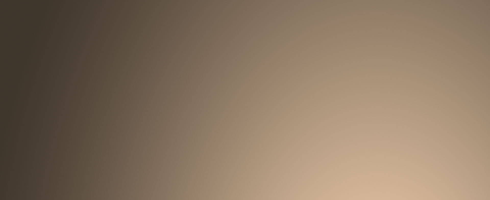Layer-2.jpg