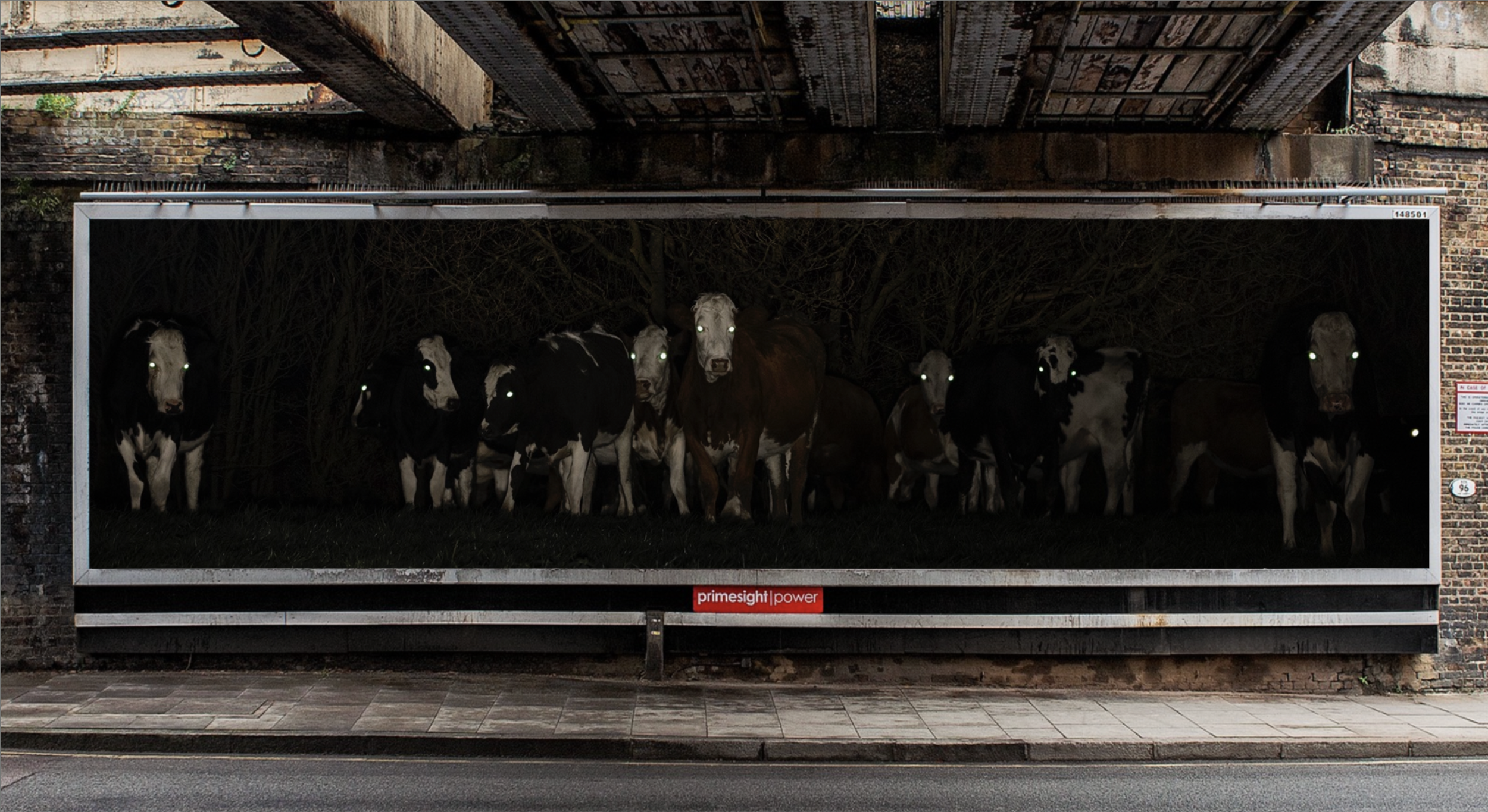 BLACK COW VODKA week 1 waterloo.png