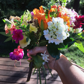 Perennials and Pollinators