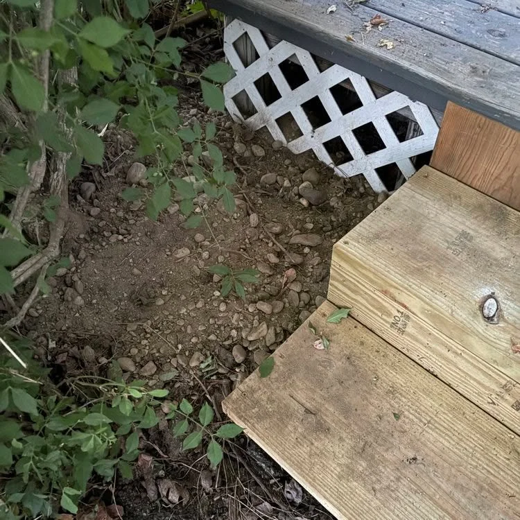 That dirt is new. it&rsquo;s groundhog signs.