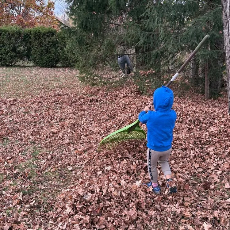 🍂 Iggy Insisted on Using the Rake Himself

Sometimes the smallest moments tell the biggest stories.
Today it wasn&rsquo;t about the leaves  it was about independence. About Iggy wanting to do it his way.

There&rsquo;s something beautiful in watchin