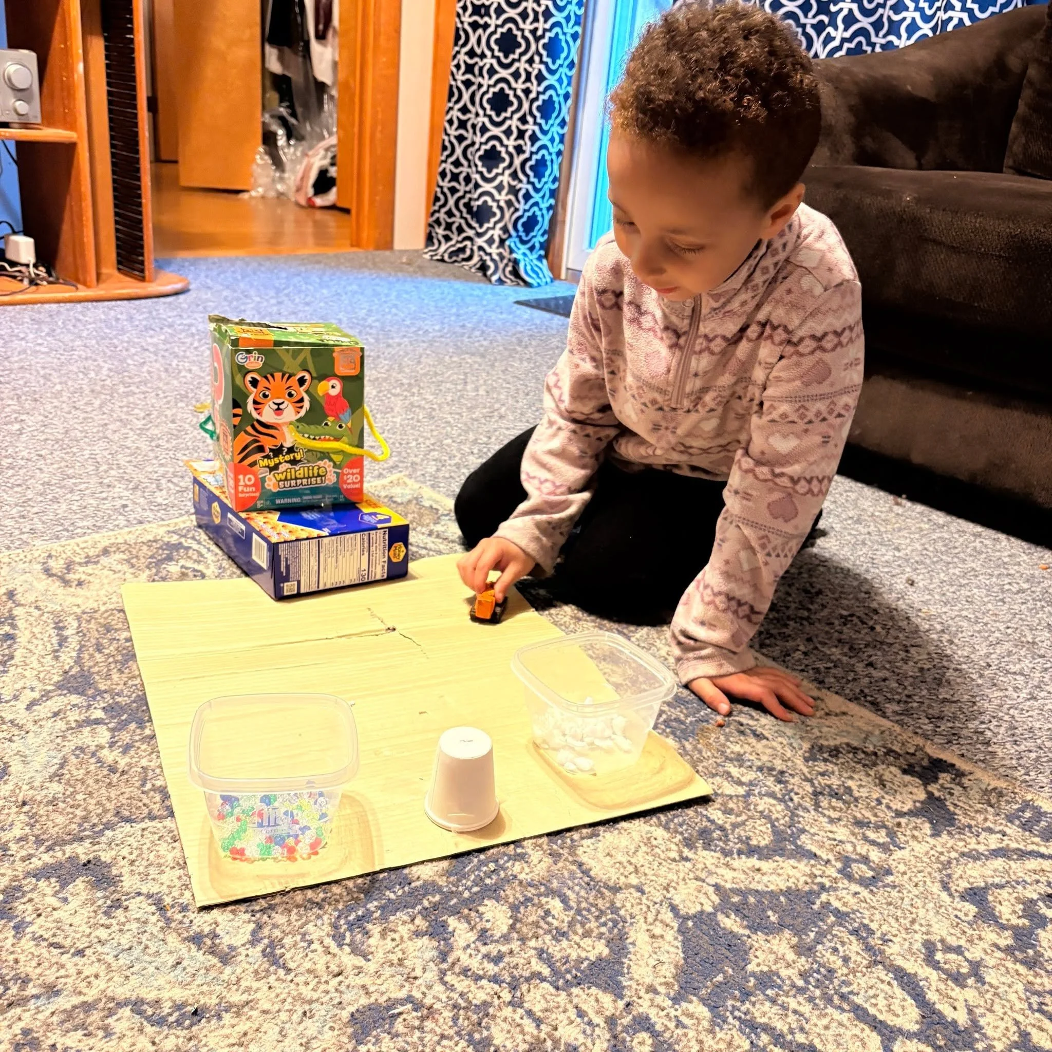 Iggy Invented a game and we played a couple times and of course he made up the rules as he went along and won both times!