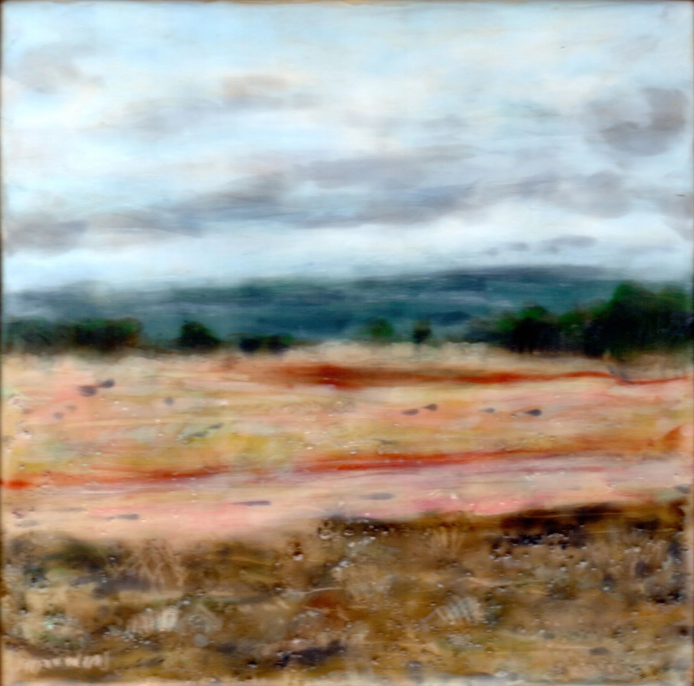 10,000 Acres