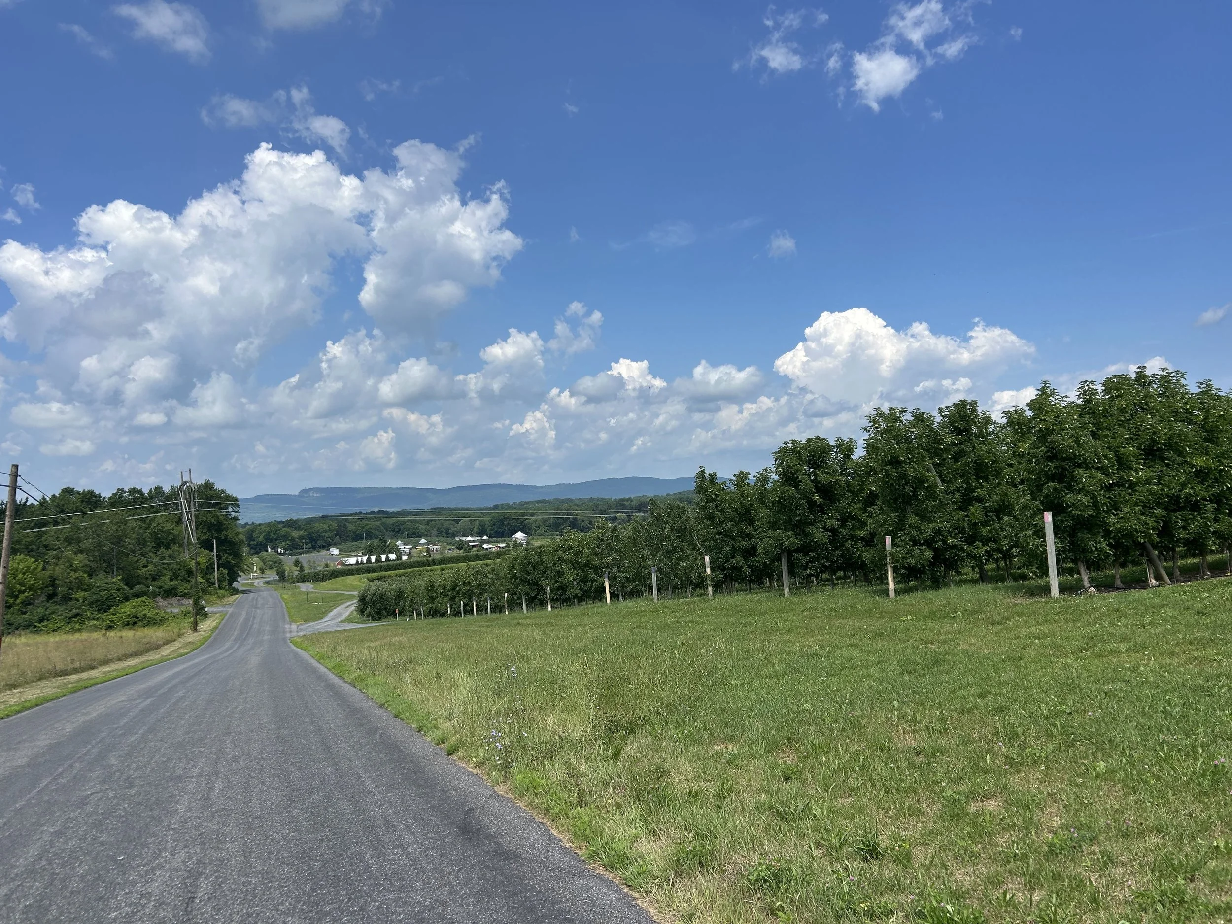 IMG_5688.jpeg