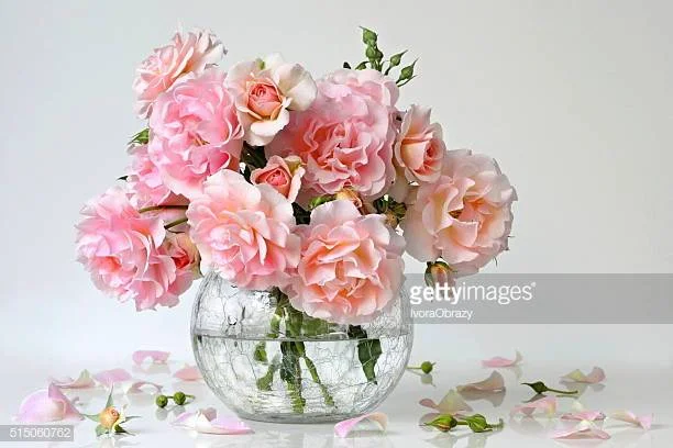 Photo by IvoraObrazy/iStock / Getty Images