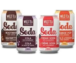 wild tea soda.jpg