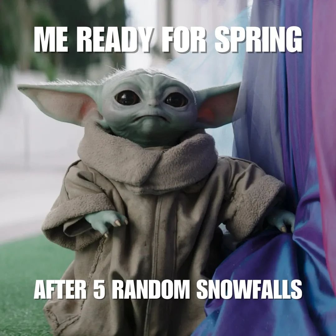 Happy May the Fourth (be with you always!) ✨

We're just glad it's starting to look and feel like Spring this month. ☔ 🌺

#amaranthfoods #yourlocalhealthfoodstore #maythefourth #maythe4th #starwars #meme #springinab #yycspring #abspring #alberta #sp