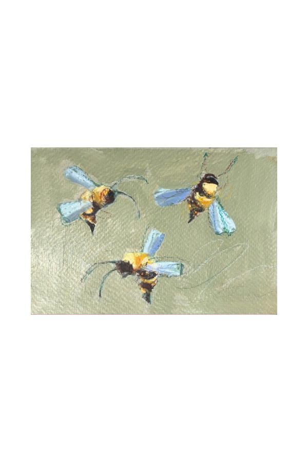 C146B23C-8A37-4DD9-A039-D7C550A1D303.png