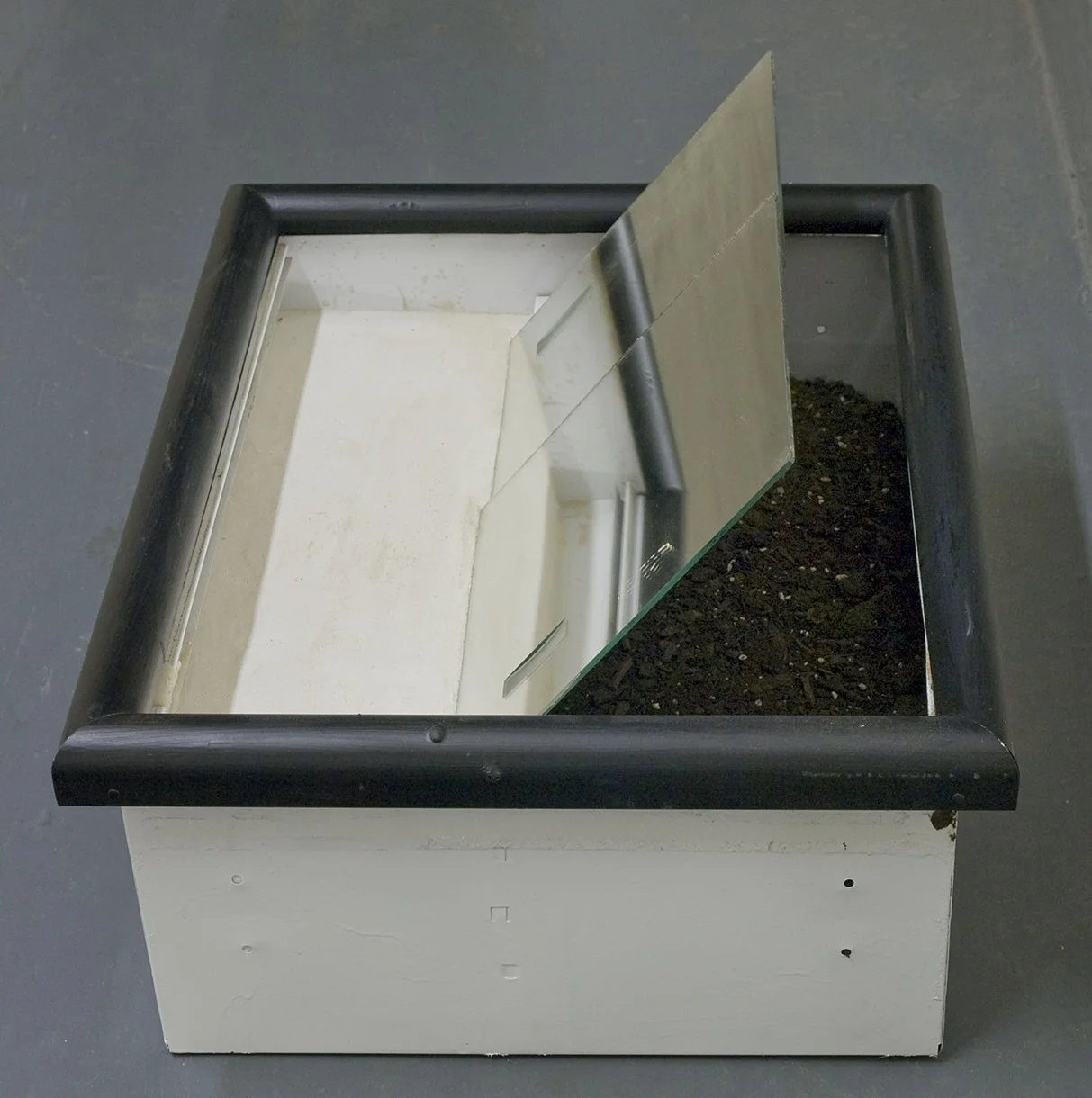 mother and father - detail 2. concrete, soil, mirror in found medicine cabinet. 2013