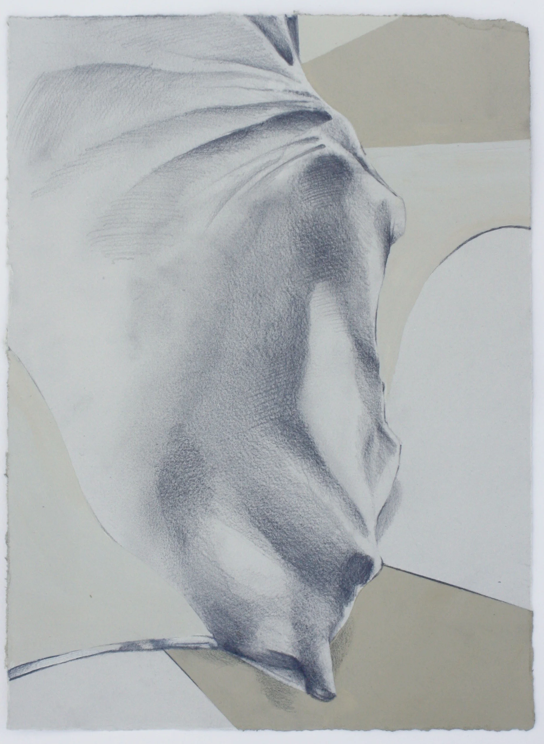 range #2. acrylic and graphite on paper. 2016. 12"x 9"