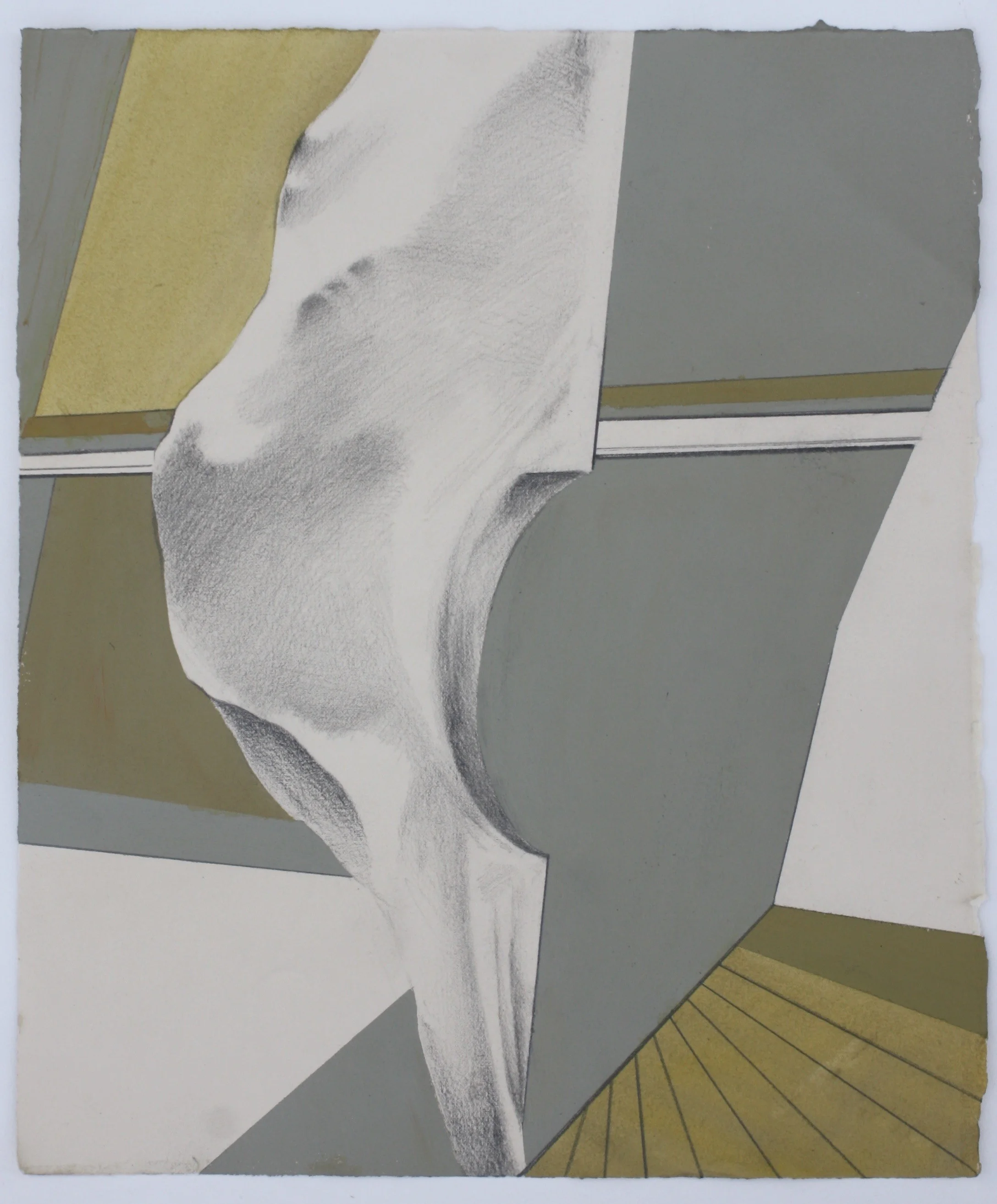 range #8. acrylic and graphite on paper. 2016.