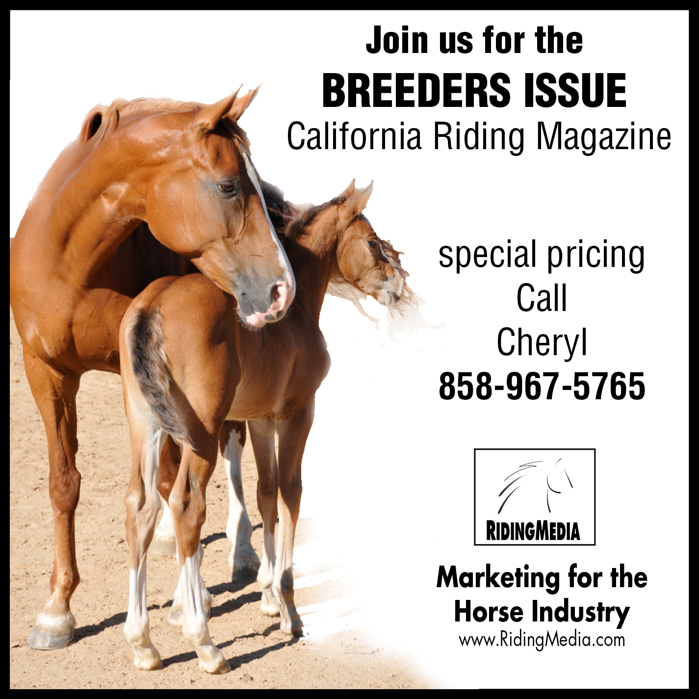 Breeders issue promo