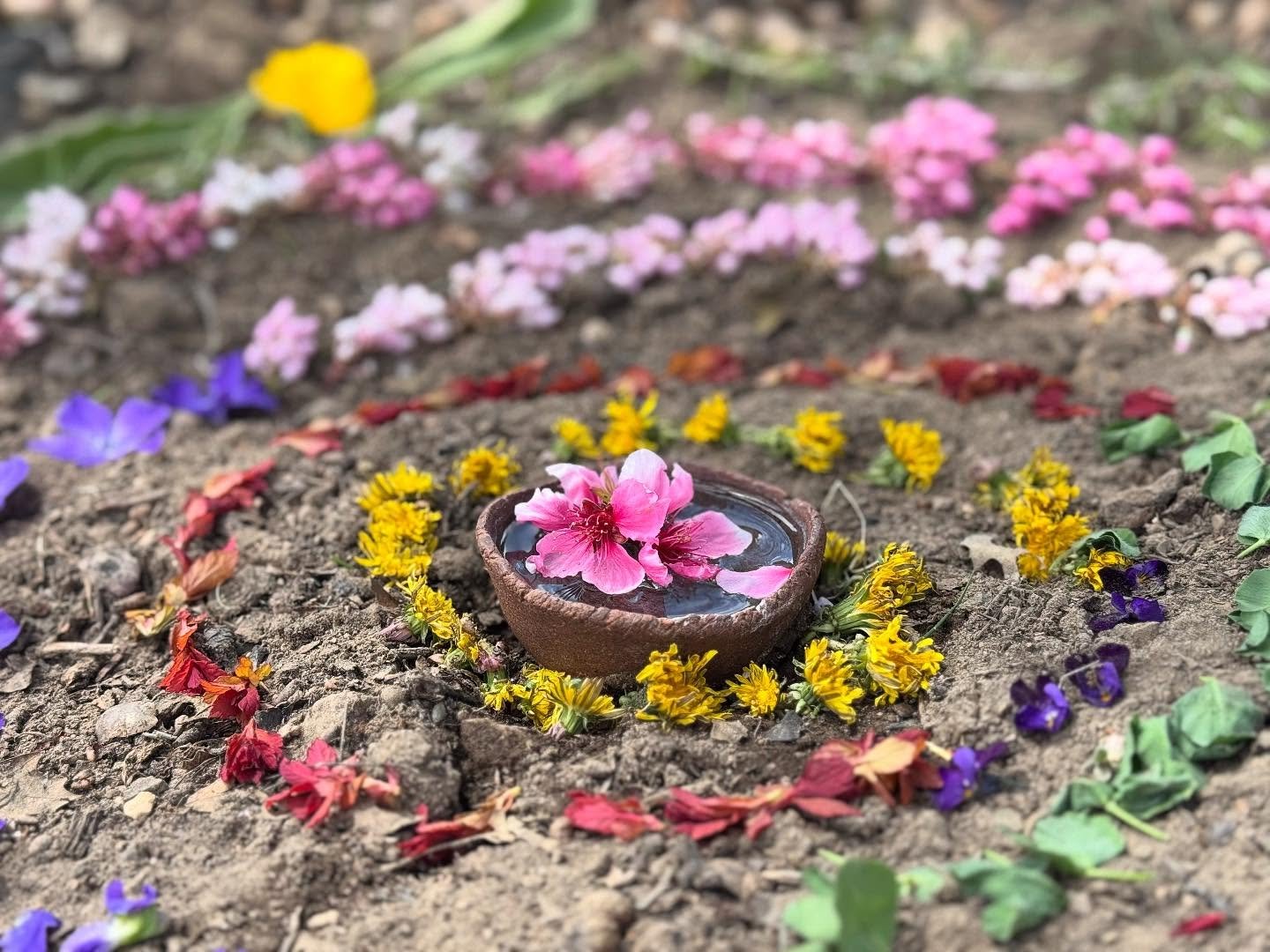 This is the offering Keeva and I made to the Spirit of Spring / Eostre some days ago. The emerging green, the colors of spring, the very vibrant presence of life renewing itself has been such a balm for my heart in these days! 🌿🌷Happy Beltane!