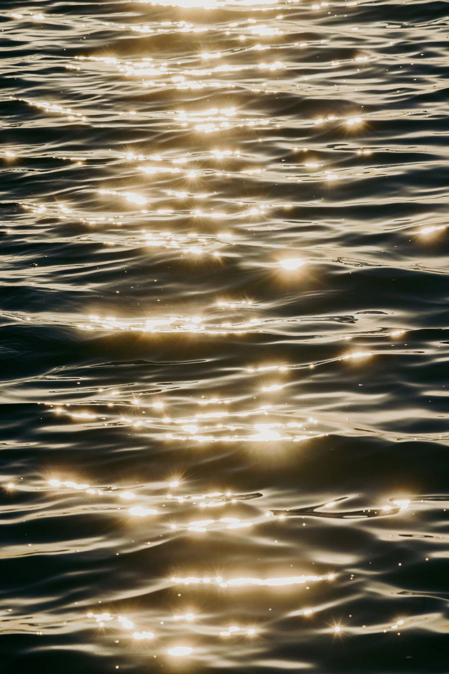 sunira-moses-_QGfMtBZHz0-unsplash.jpg