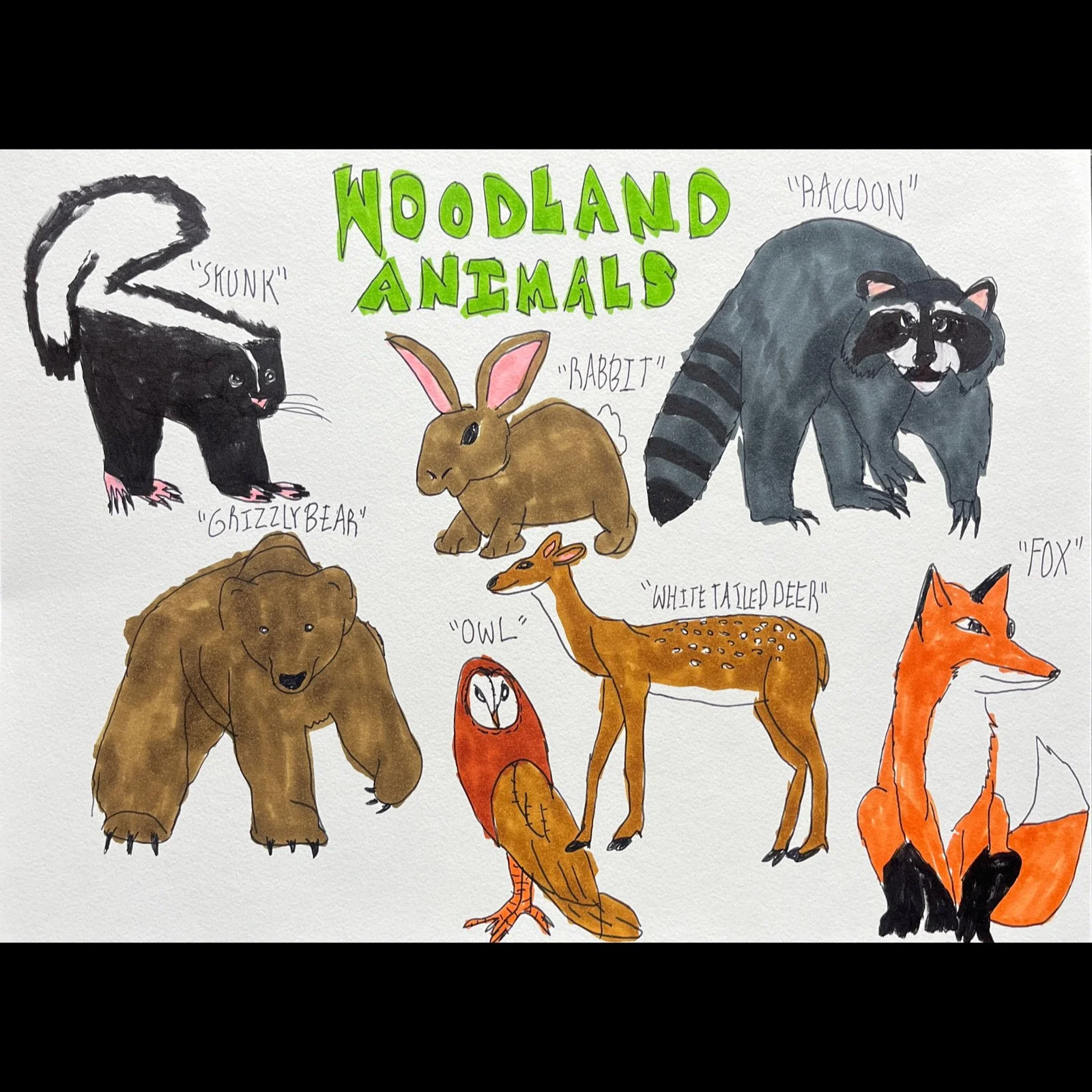 James Roll - Woodland Animals